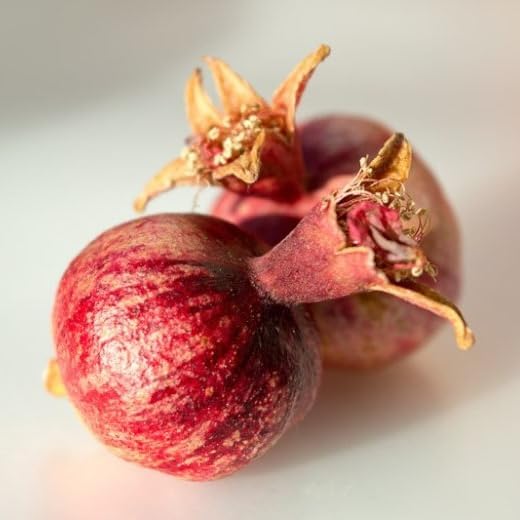 Live Dwarf Pomegranate Plant (Punica Granatum) - Compact, Ornamental Fruit Bearing Shrub, Indoor/Outdoor (2 pom-Dwarf sacs)