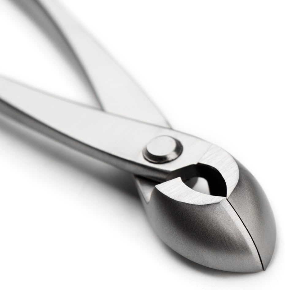 tianbonsai Bonsai Tools 205 Mm Round Edge Cutter Multifunctional Bonsai Cutter With Both Straight Edge And Round Edge