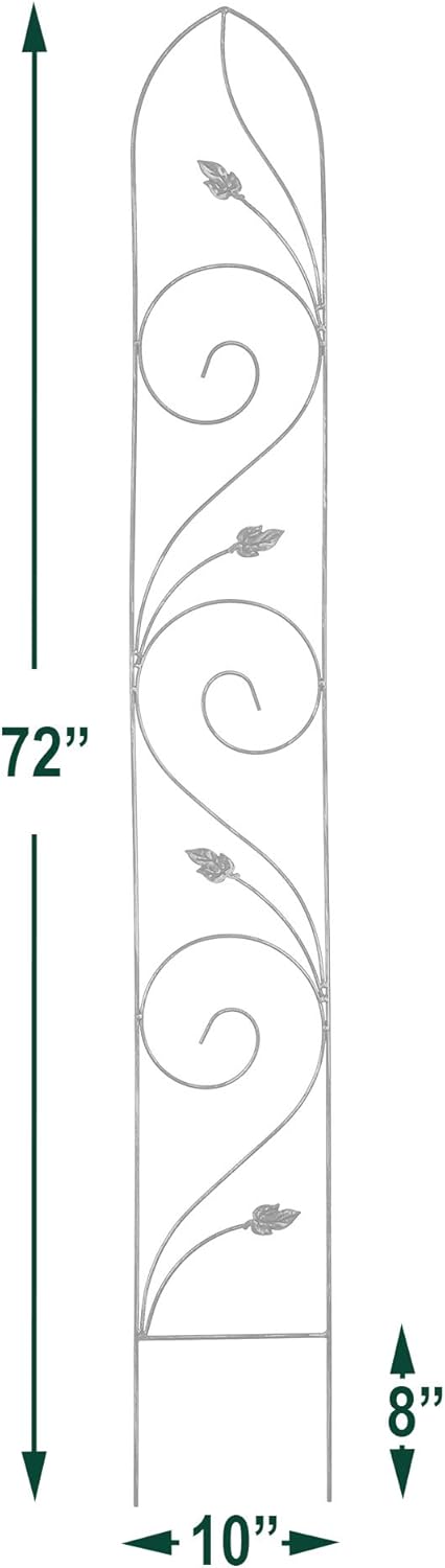 TR06 Autumn Leaf Trellis 6'x10, Black