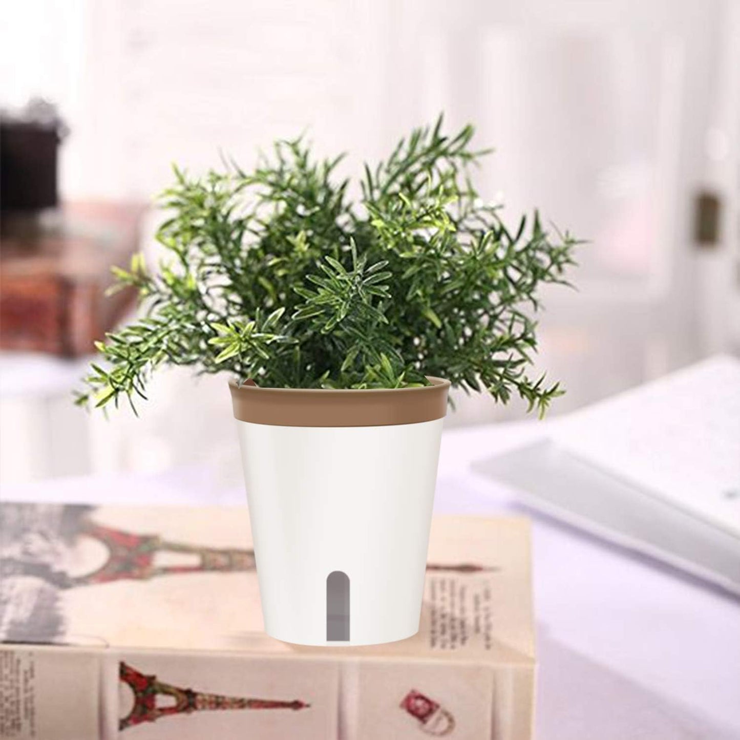 GardenBasix Self Watering Pots Window Box for Indoor Plants Set of 6 Home Garden Modern Decorative Flower Planter for All House Herbs Succulents (6, Tricolor)