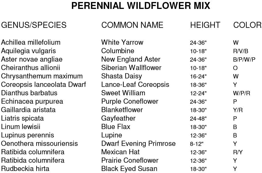 Non GMO Bulk All Perennial Wildflower Seed Mix (1/2 Lb) 188,000 Seeds
