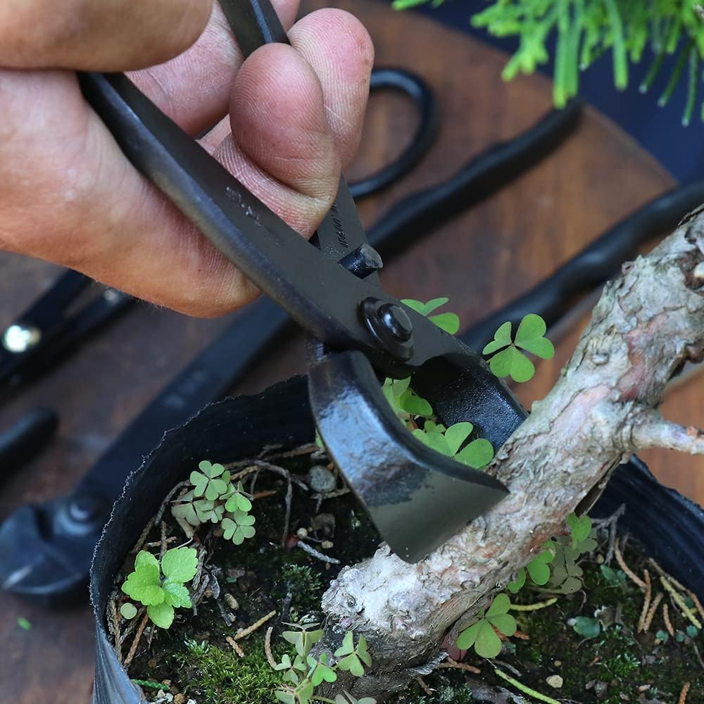 Wazakura Hand Forged Bonsai Root Cutter MADE IN JAPAN 6.7 inch (170 mm), Black Carbon Steel Bonsai Tree Cutter for Branch and Roots, Multipurpose Japanese Gardening Tools