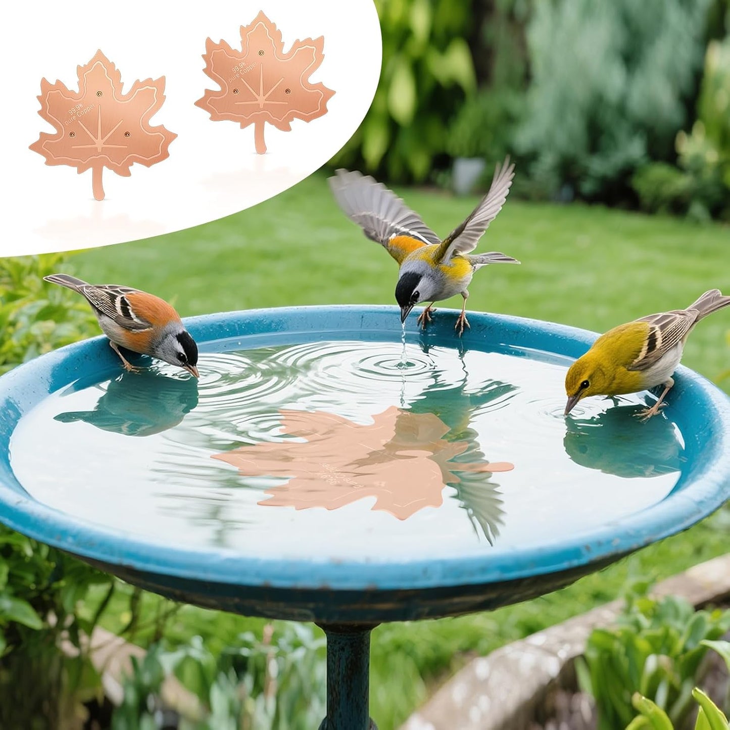 99.99% Pure Copper Bird Bath Disk, 2 Pack 0.6mm Maple Leaf Bird Bath Purification Disk with Triple-Point Support for Physical Safe Clean Water All-Season, Universal Fit for Outdoor Birdbaths, Bowl