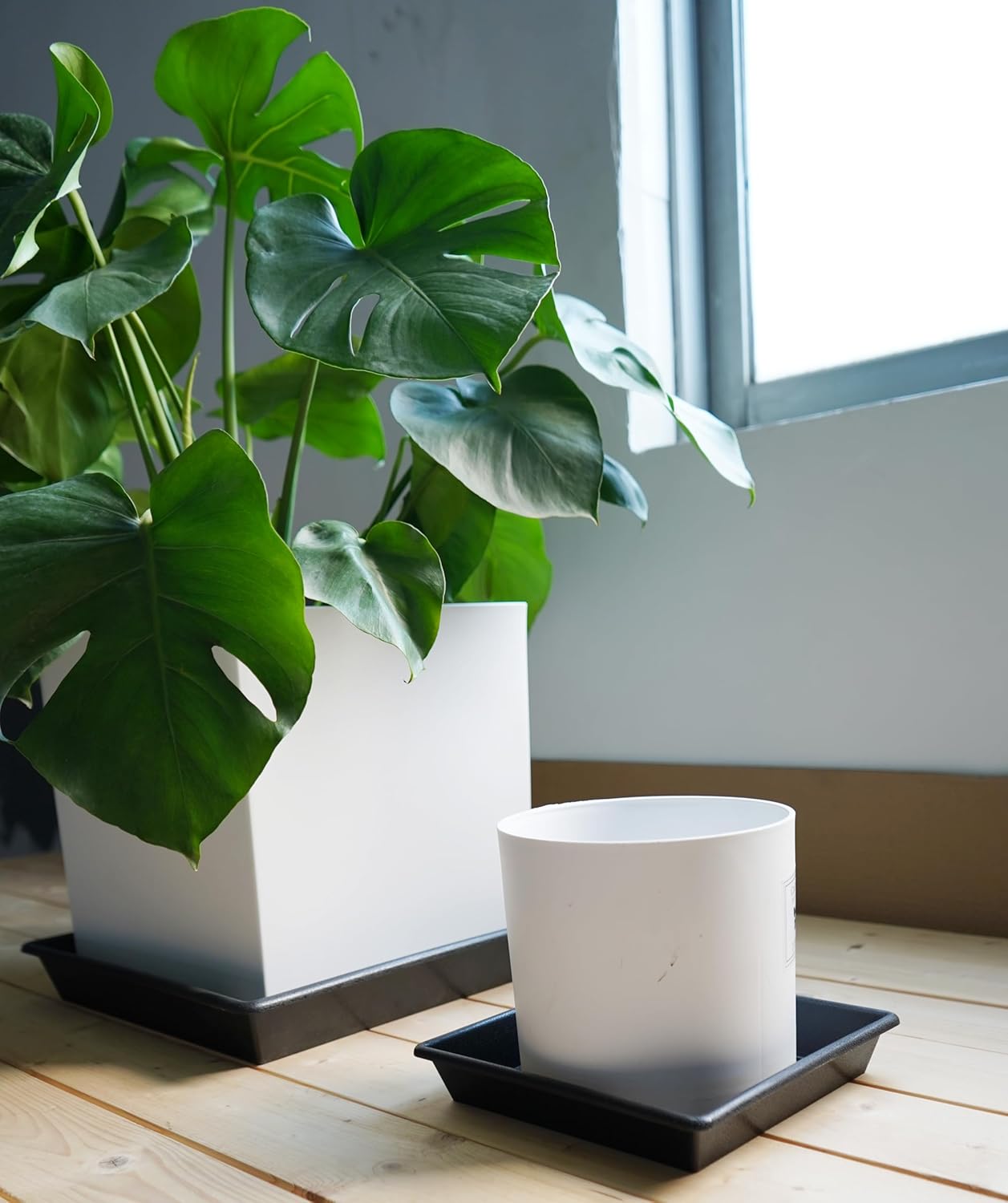 Square Plant Saucer 14 Inch 2 Pack 8 12 14 16 18 20 Plant Trays for Pots Heavy Duty Plastic Plant Saucers for Indoors Outdoors, Flower Pot Plant Drip, Extra Lager No Holes Plant Tray