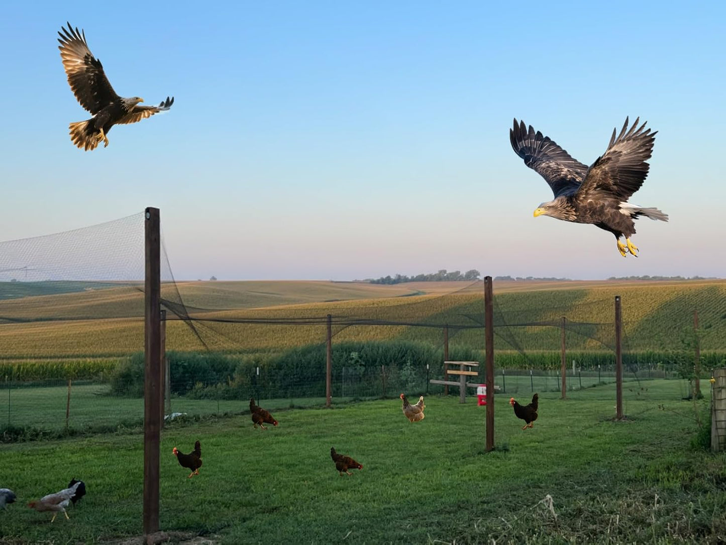 Junflying Bird Netting for Chicken Coop, 1 Inch Mesh 50x50 Ft Strong Woven Poultry Netting for Chicken Run Roof Cover, Against Bird Hawk Small Animals, Protect Strawberry Plant Fruit Tree Vegetable