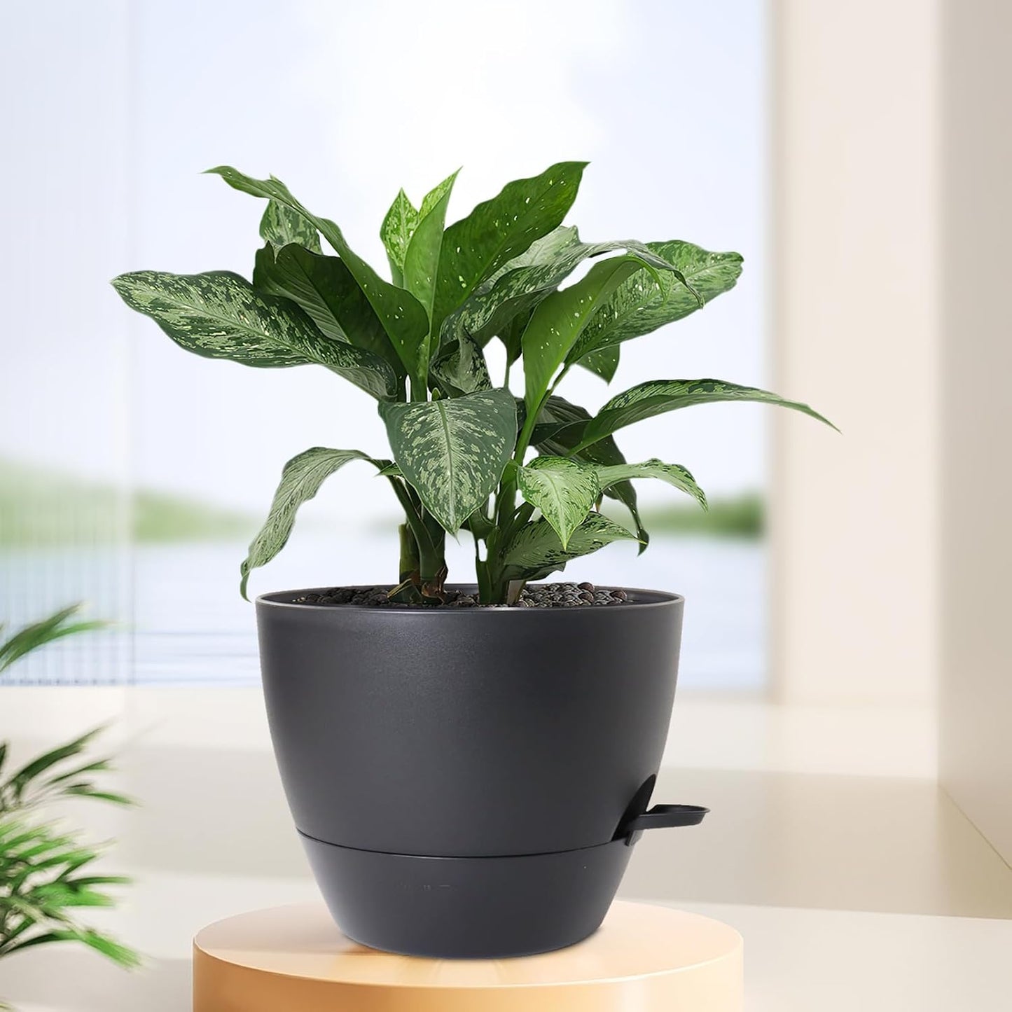 12 inch Large Self Watering Pots for Indoor Outdoor Plants, Flower Plant Pots with Mesh Drainage Holes for Garden House, Plastic Planters with Reservoir for Home Decor, Black