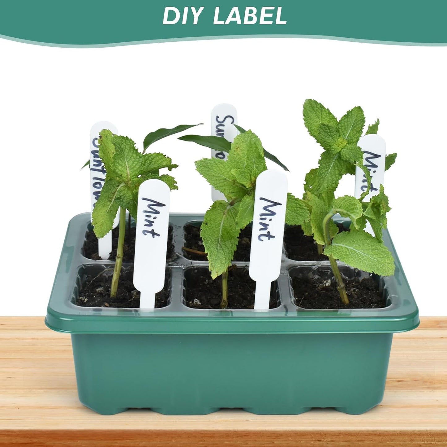 Artcome 5-Pack Seed Starter Tray - 6 Cells Each with Push-Up Ejector - Seed Starter Kit for Rapid Growth and Healthy Seedlings at Home - 30 Cells in Total