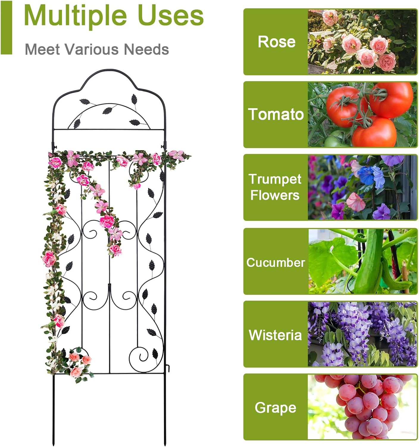 hogardeck Metal 60 * 18in Garden Trellis 2-Packs for Climbing Plants Flowers Vegetables Planting Arched Outdoor Decoration for Courtyards Lawns Gardens