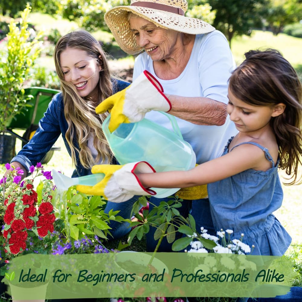 Premium Rare Hollyhock Seeds β 400+ Queeny Dwarf Hollyhock Flower Seeds β Non-GMO, Heirloom Perennial β Showy Blooms for Outdoor Planting (Queeny Hollyhock)