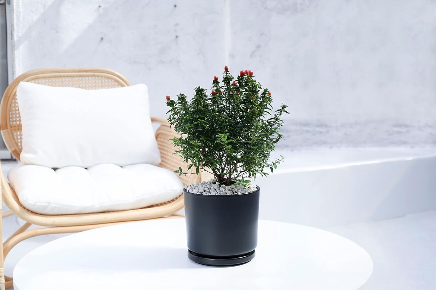 Ekirlin 7 inch Plant Pots,Ceramic Flower Planters Indoor,Modern Succulents Containers with Drain Hole Saucer,Decorate Home,Office & Outdoor (Black)