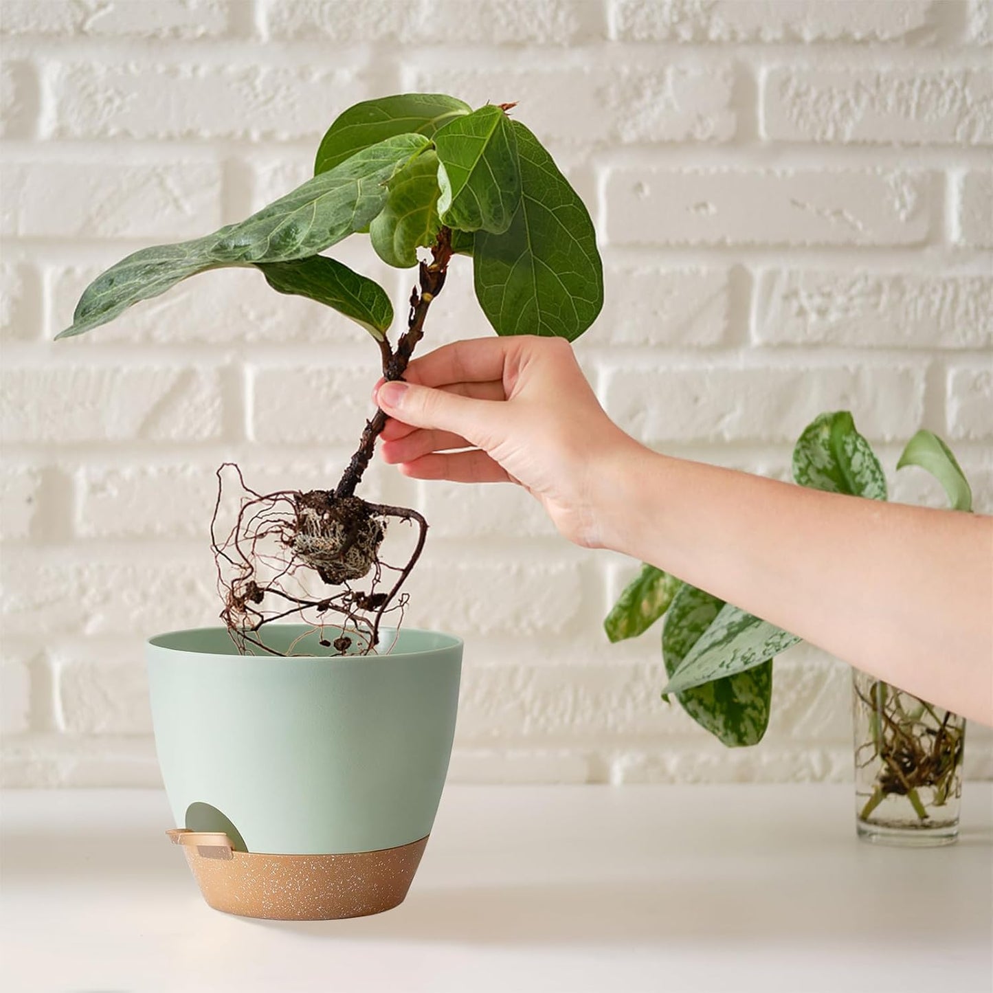 Self Watering Plant Pot with Drainage Hole,Plant Pots Outdoor Flower Pots for Indoor Plants,Modern Green Plastic Self Watering Planters Succulent Pot 7pcs/Set