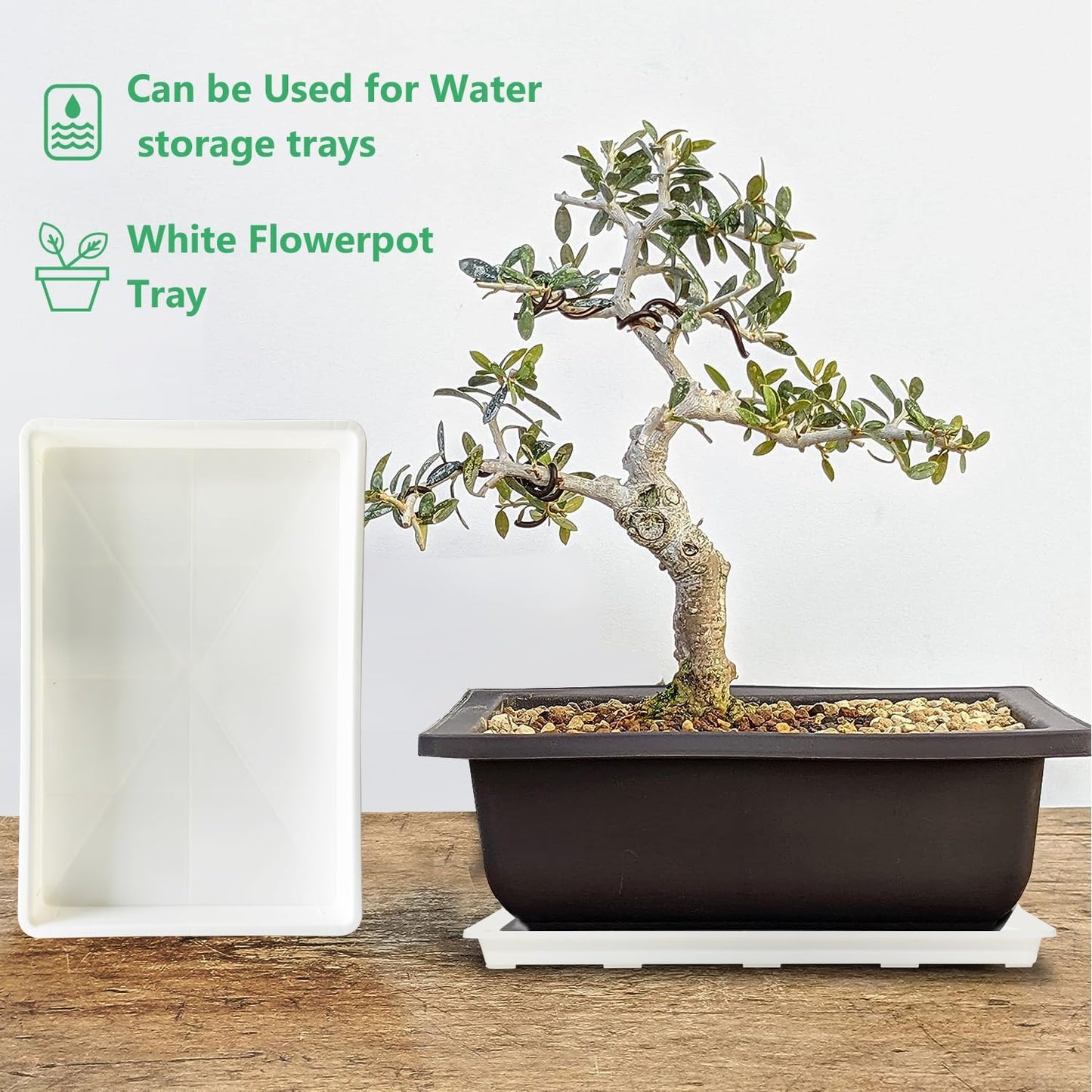 5 Pack Nursery Pot Tray, Carrying and Holding Plant Tray for Pot 24 Cell Carrying Holder Drainage Watering Plant Tray (White)