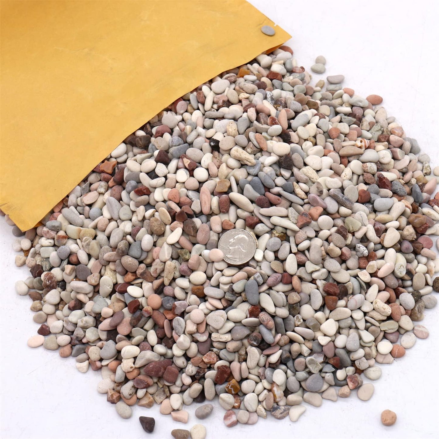 Rocks for Plants. Earth Color Decorative Pebbles. 1/5 Inch – 10 lbs for Garden, Vase fillers, Crafting, Succulents, pots, Plants (Mini (0.2 Inch), Mixed Color - Earth Tones, 10)