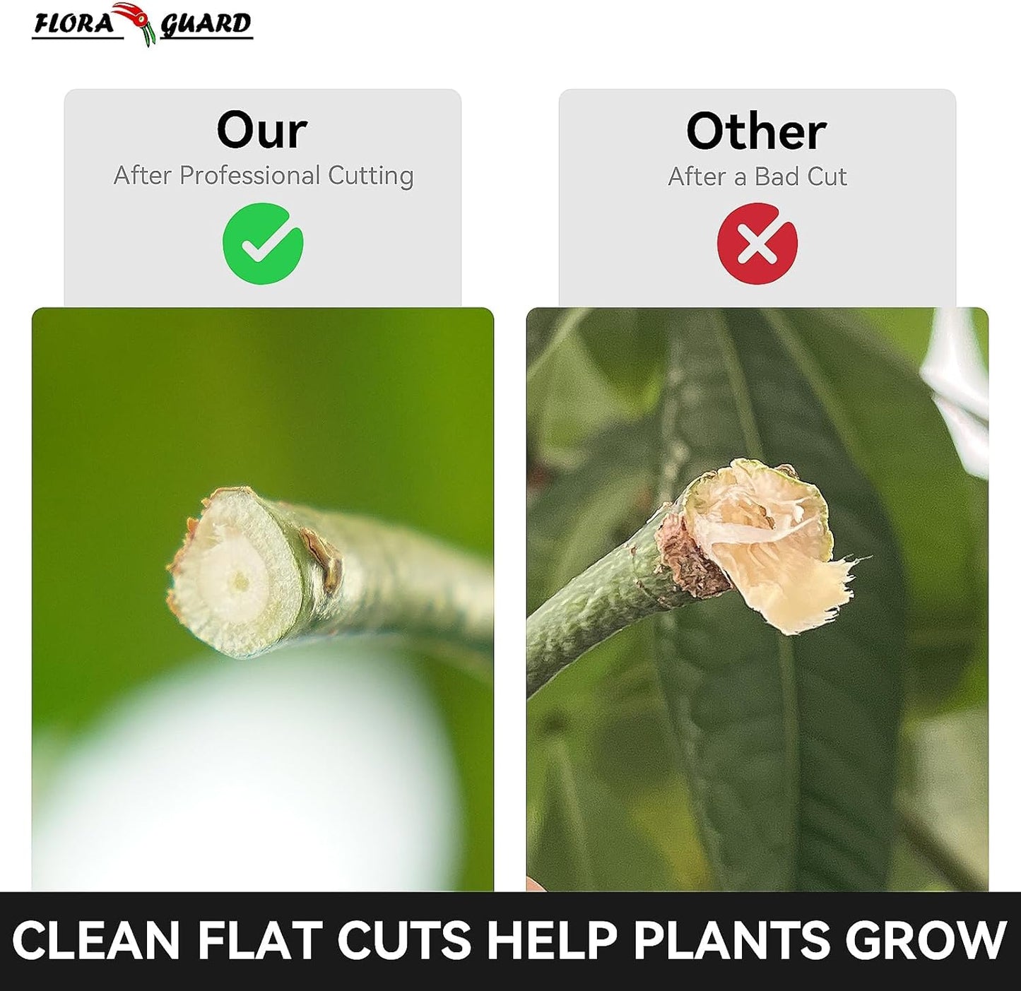 Flora Guard Garden Shears 8.5" Bypass Pruning Shears, Professional Ultra Sharp Sk5 Steel Garden Clippers, Heavy Duty Plant Cutting Scissors Tools Supplies, Hedge Branch Trimmer, Super Durable