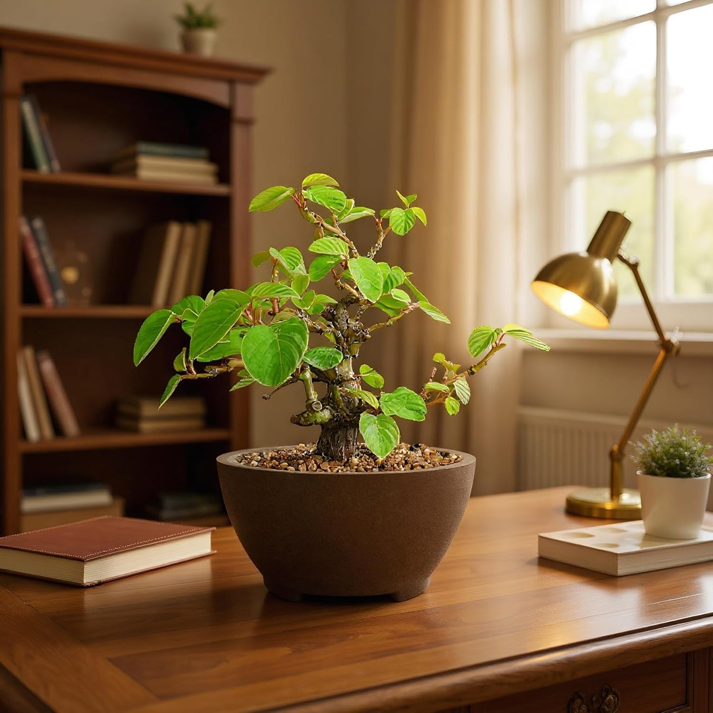 Round Unglazed Bonsai Pots with Drainage Holes 7” Breathable Planter Sand-Textured Short Legs Large Bonsai Tree Pots Ceramic for Indoor Plants Succulent