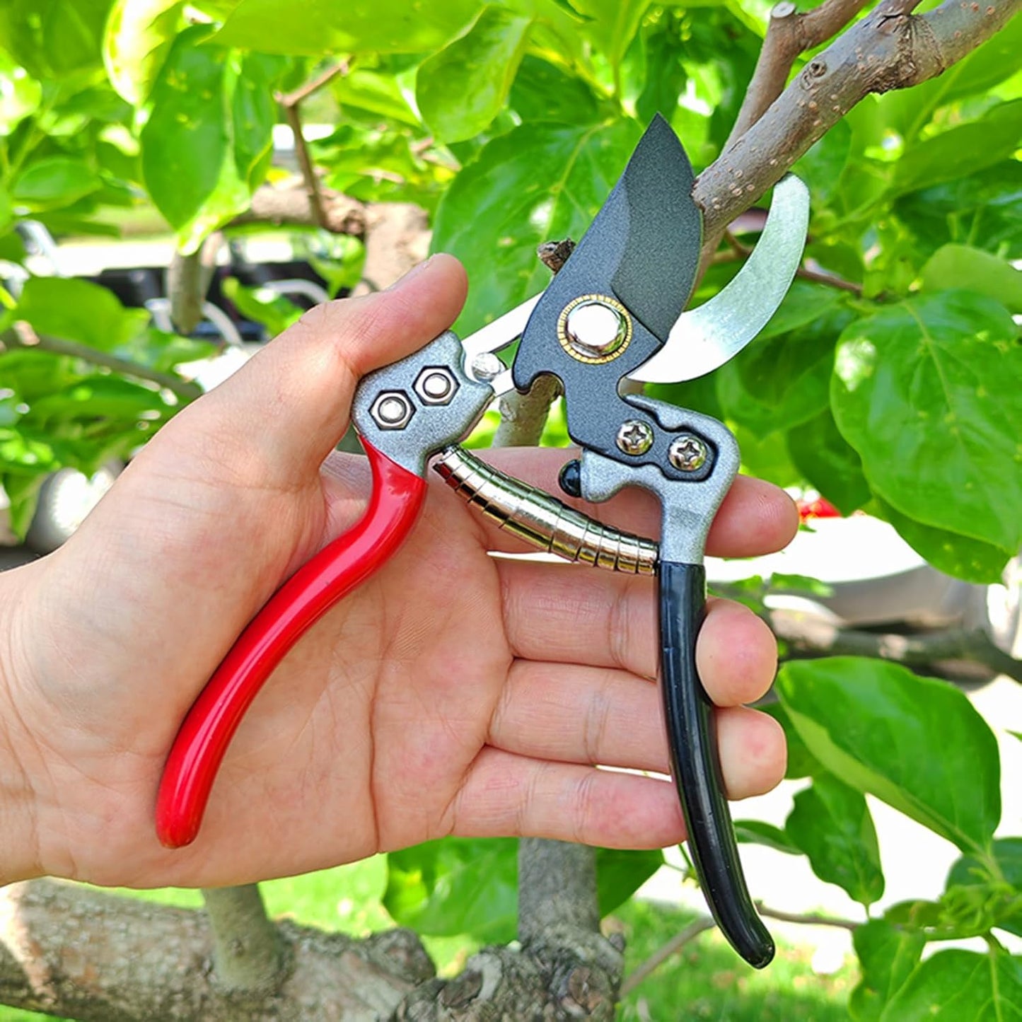 Ultra Sharp Germany Titanium Steel Pruning Shears - Cuts 3X Easier, Weak Hand Arthritis Snips, Rust-Resistant, Effortlessly 1-Inch Cut Capacity Garden Scissors, Ergonomic Handle (gt-06, 1)