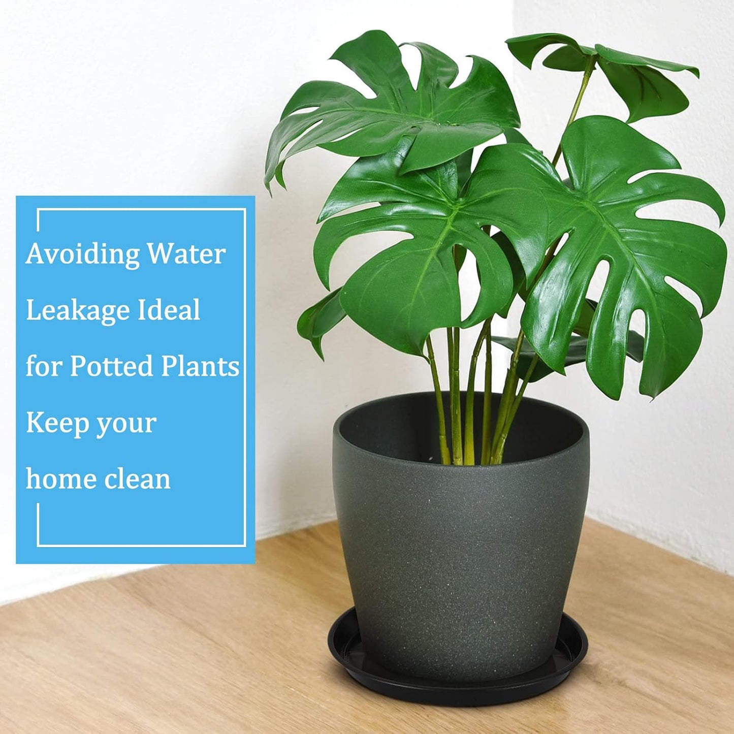 Eccliy 6 Pack Plastic Plant Saucer Heavy Duty Planter Saucers Large Plant Pot Saucers Plastic Water Trays for Indoors and Outdoors Flower Plant Plant Drip (Black,16 Inch)