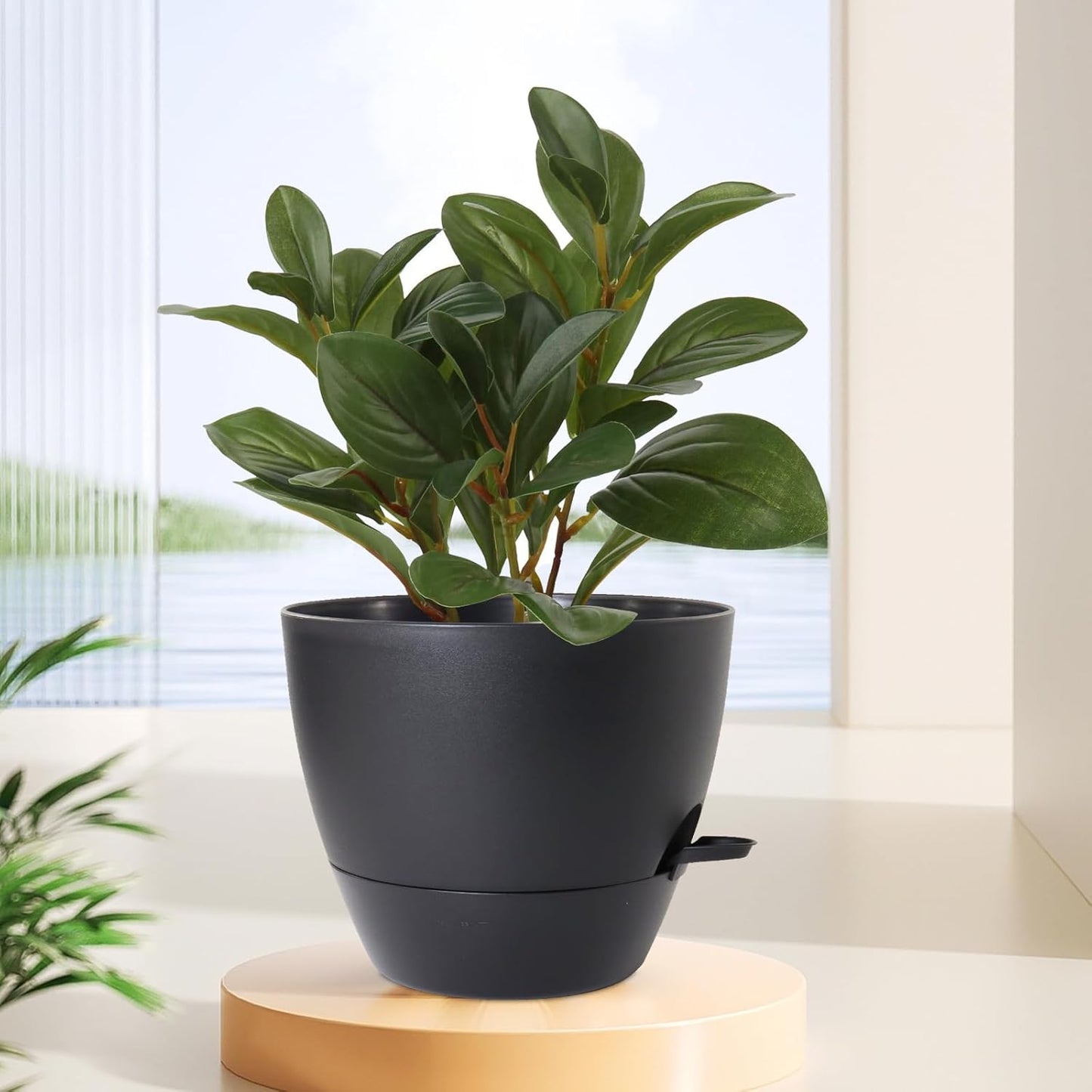 12 inch Large Self Watering Pots, Flower Plant Pots with Multi Mesh Drainage Holes for Indoor Outdoor Garden Plants and Flowers, Plastic Planters with Removable Deep Reservoir, Black