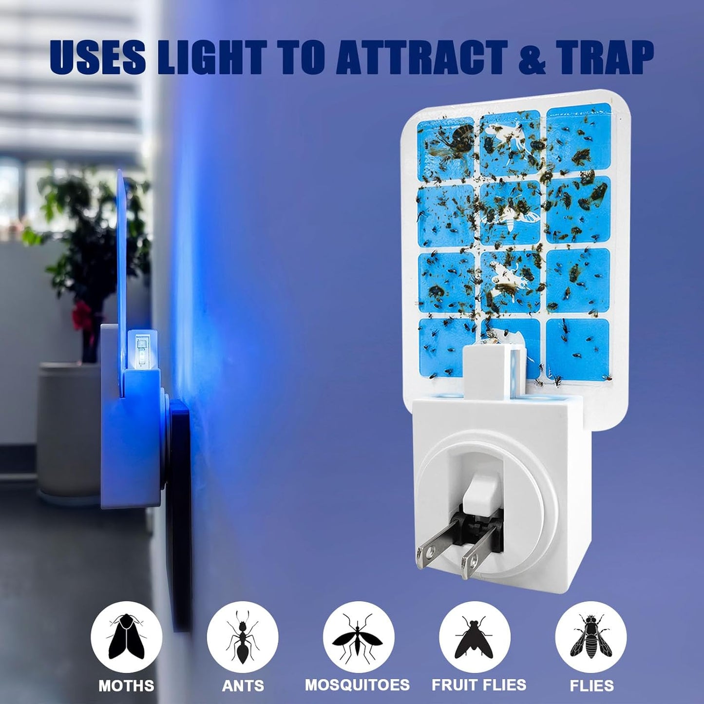 Plug in Indoor Fly Trap for Gnat Moth Houseflies Fruit Flies, Blue Light Bug Light Trap Compatible with Safer Home Indoor Fly Trap Refill, Mosquito Flying Insect Trap, 6 Device+8 Refill