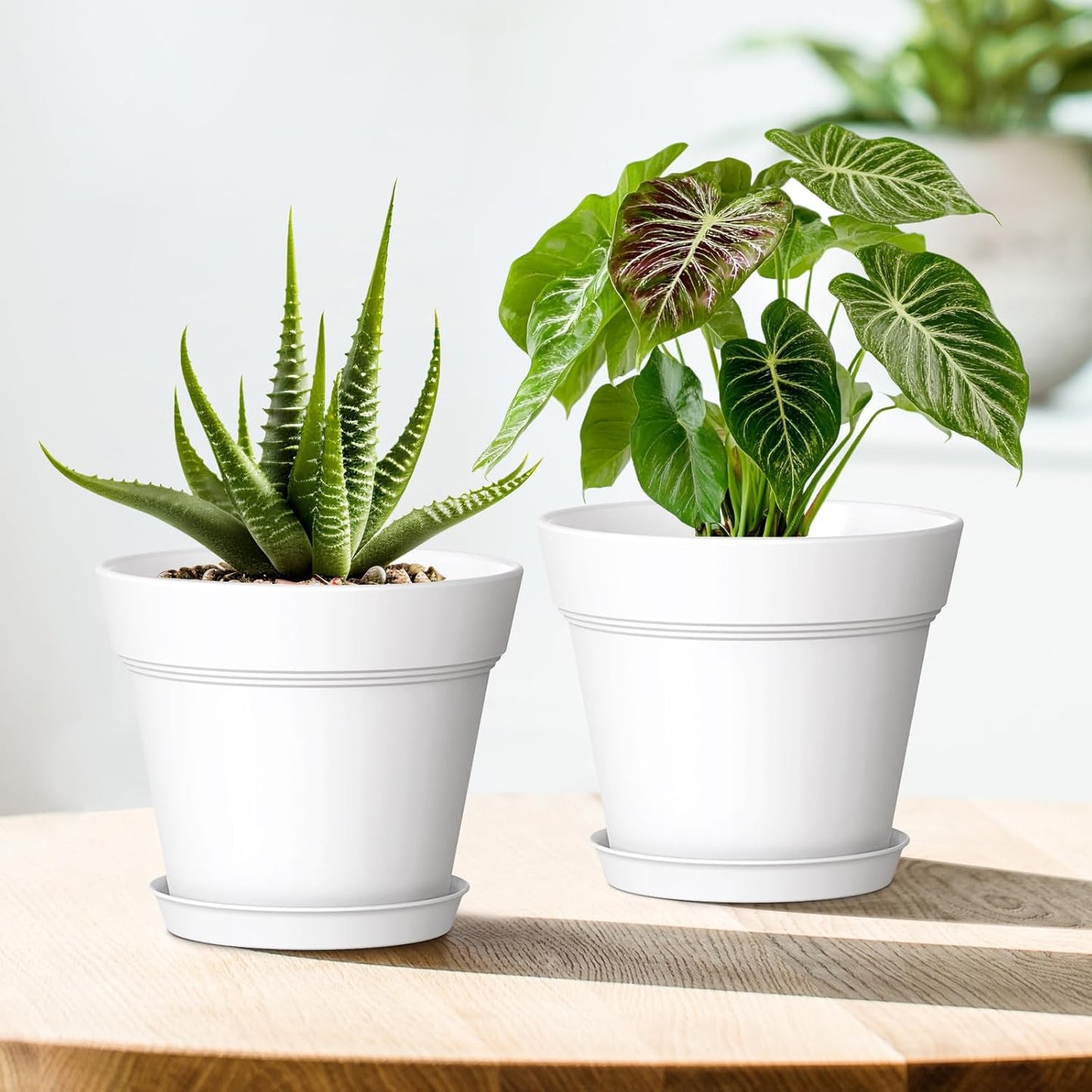 4 Inch Plastic Plant Pots with Drainage Holes and Trays – 8 Pack Small Nursery Pots for Indoor & Outdoor House Plants and Flowers, Seedling Starter Planters, White