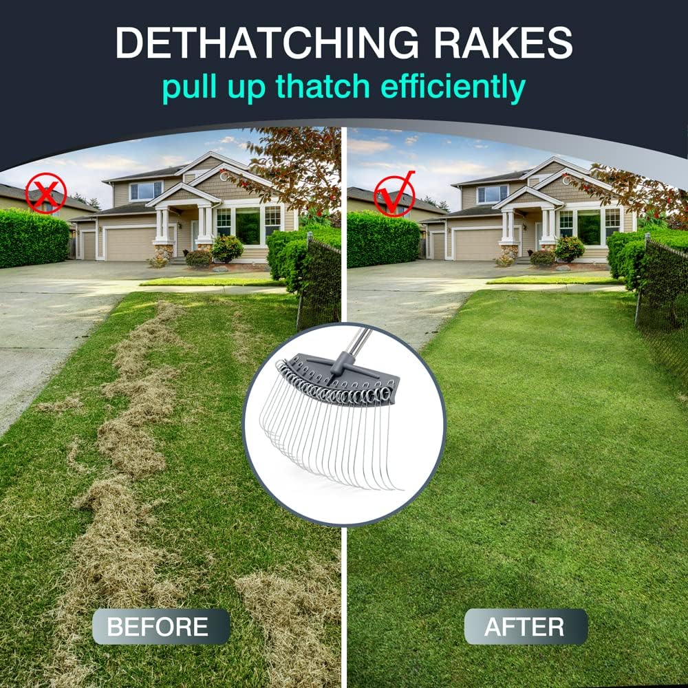 Colwelt Thatch Rake -24 Steel Tines, Dethatching Rakes with 54’’ Lightweight Stainless Steel Handle, Yard Dethatcher Rakes for Lawn(Pine Needles, Dead Grass, Thatch, Leaves, Mulch)