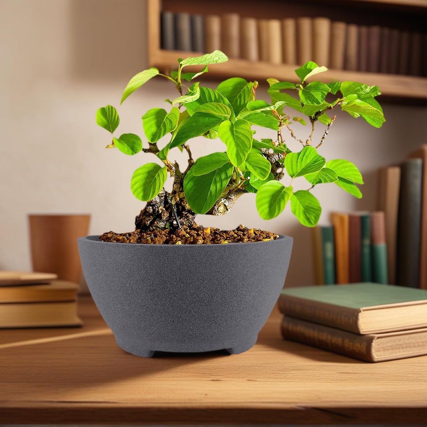 Round Unglazed Bonsai Pots with Drainage Holes 7” Breathable Planter Sand-Textured Short Legs Large Bonsai Tree Pots Ceramic for Indoor Plants Succulent