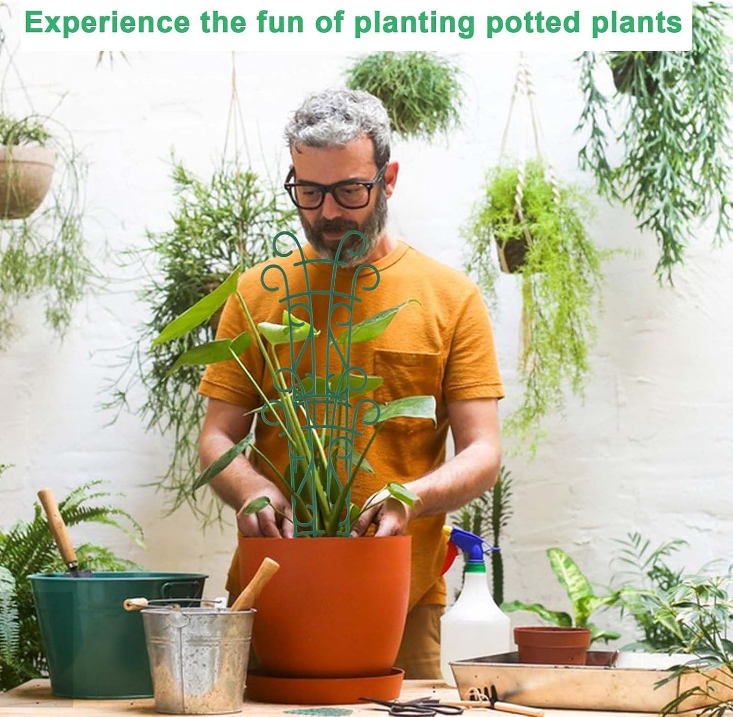 Indoor Plant Trellis for Climbing Plants, 8 Pack Garden Trellis for Potted Plants Stackable Plant Trellis Plant Stakes for Indoor Plants Accessories Flower Plant Support