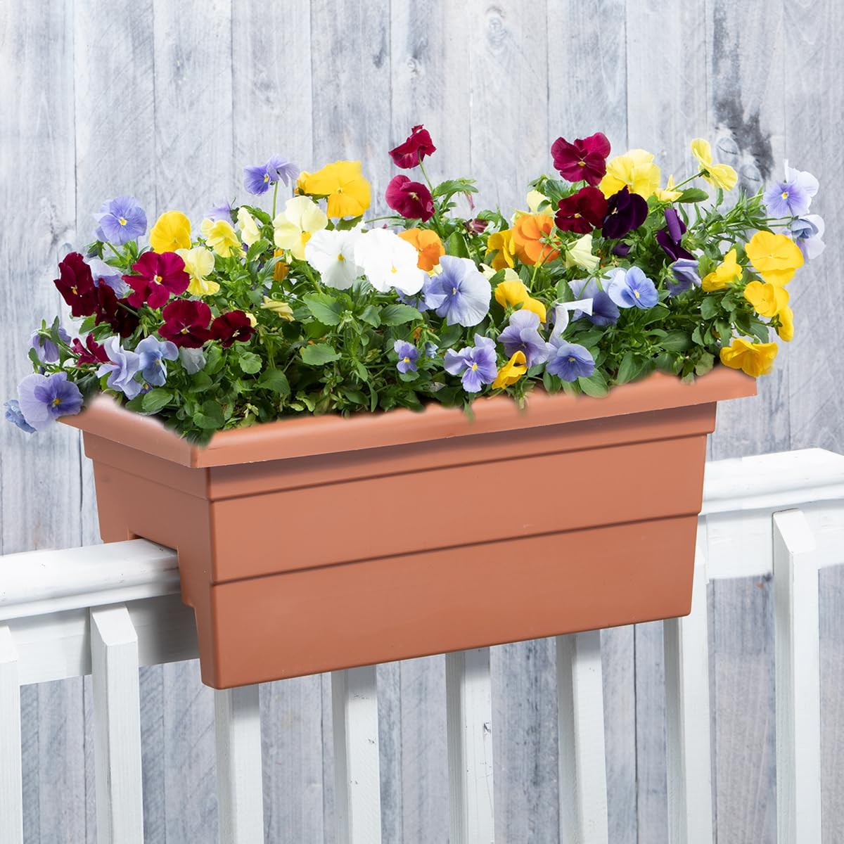 Root & Vessel Countryside Rail Planter, Terra, 24"