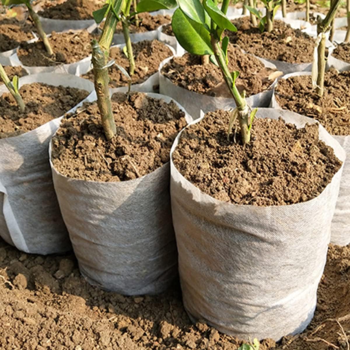 gardtree Plant Nursery Bags 6.3" x 7" 400PCS, Non-Woven Plant Grow Bags Fabric Seedling Starter Pots for Vegetable Flower Fruit Saplings Tree, Home Garden Supply