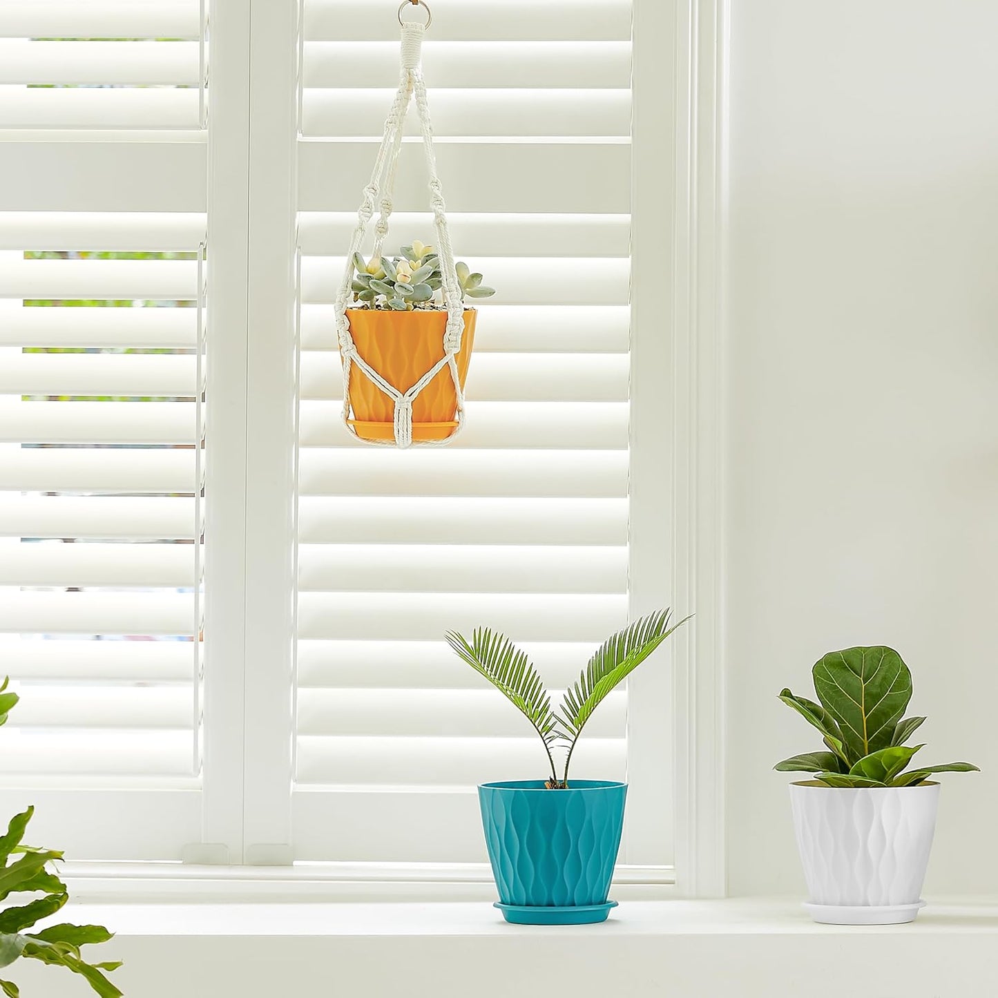 FaithLand 6-Pack 6-Inch Plastic Plant Pots with Saucers | Thickened PP Material, Modern Wave Texture, Enhanced Drainage for Indoor/Outdoor Garden Plants | Multicolor Value Set