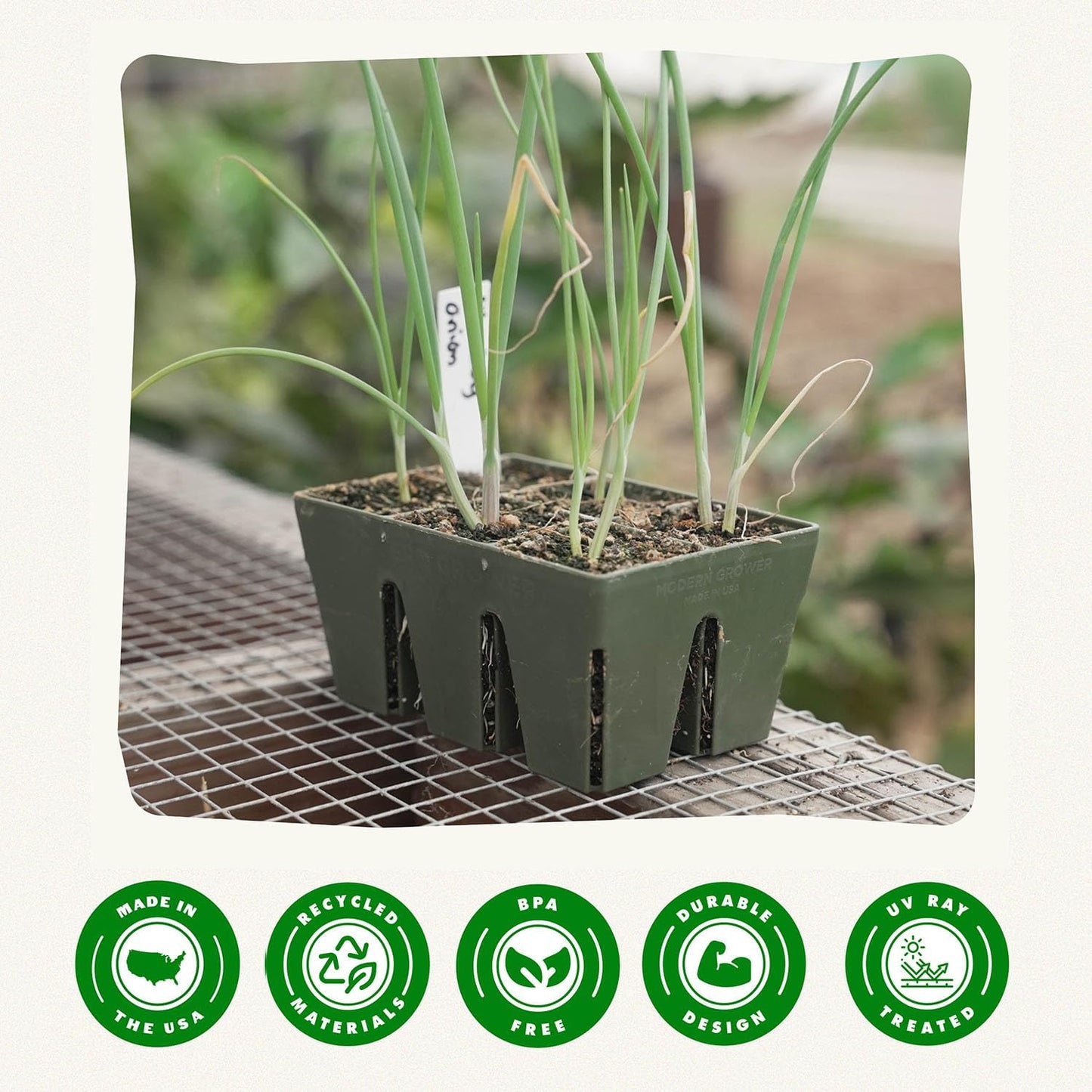 Epic Gardening Reusable Seed Starter Tray - 6 Cell/6 Seedling Starter Trays - Easy Watering, Indoor Greenhouse, Plant Starter, Gardener-Friendly for Seedlings | UV-Treated & BPA-Free - Sage Green