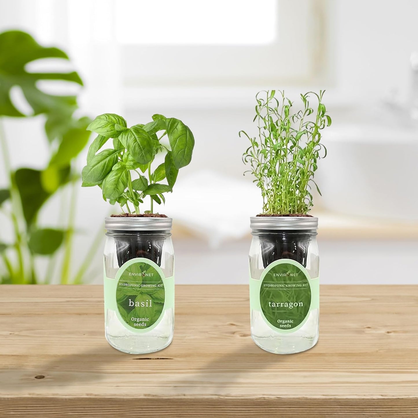 2-Pack Hydroponic Mason Jar Herb Garden Kit, Indoor Herb Garden Self-Watering Starter Kit (Basil,Tarragon)