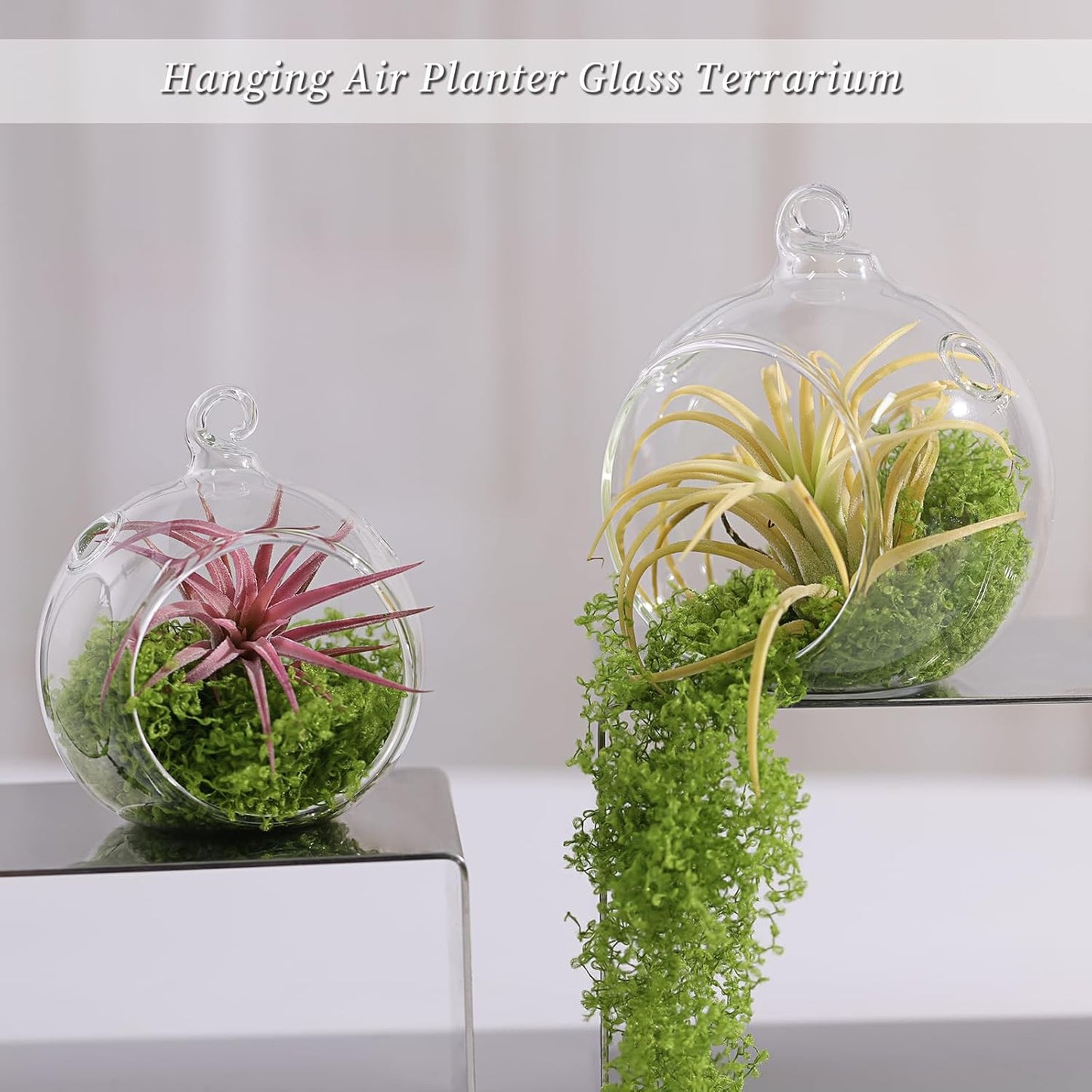 LETINE 12pcs Assorted Glass Orb Set, with 2.17" and 1.93" Spheres | Hanging Glass Tealight Holder Globe, Air Plant Terrarium Supplies for Wedding Favors, Votive Candle Holders,Christmas Decorations