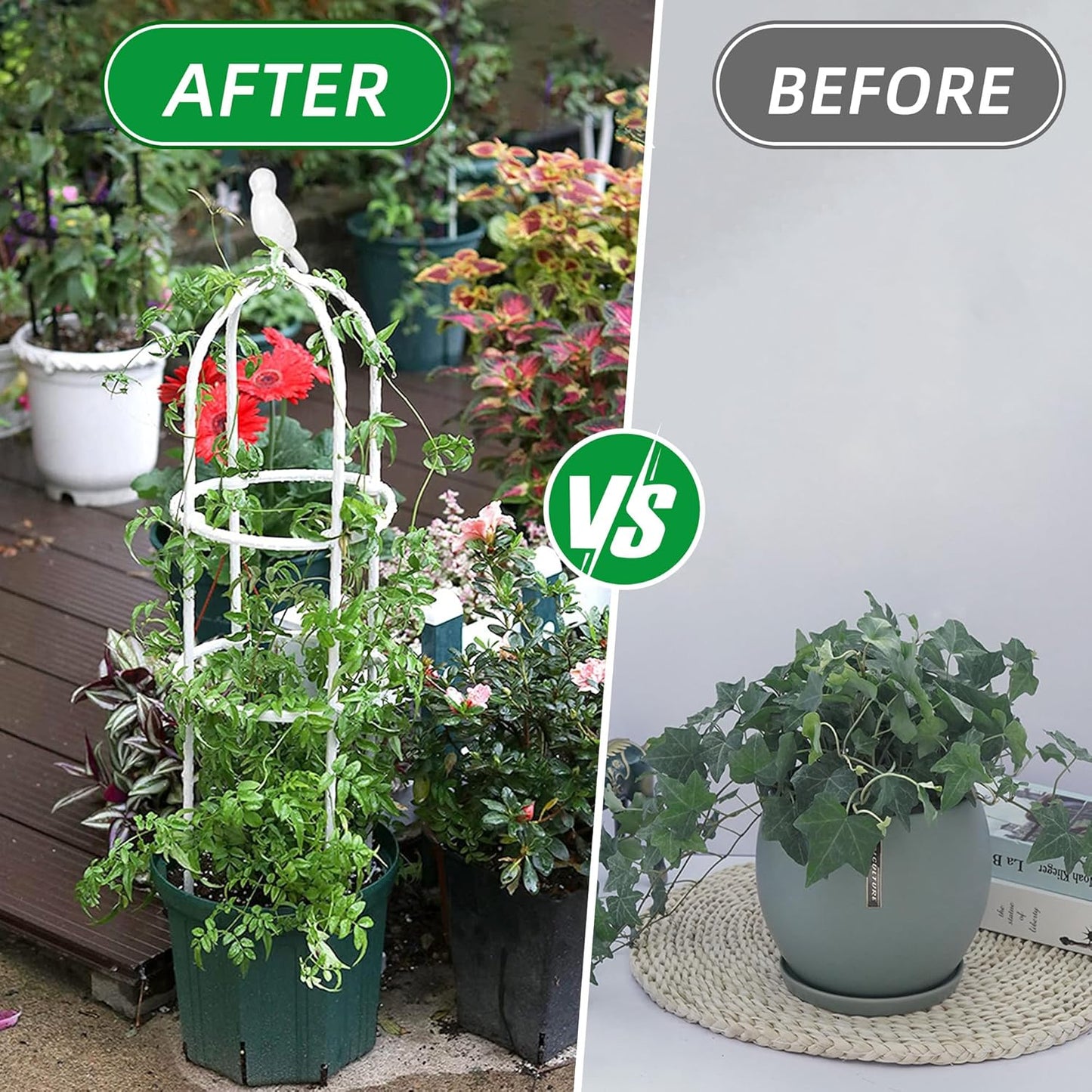 Garden Trellis for Climbing Plants, Rustproof Metal Pipe with Heavy Duty 6ft, Garden Outdoor Indoor Potted Plant Support(White)