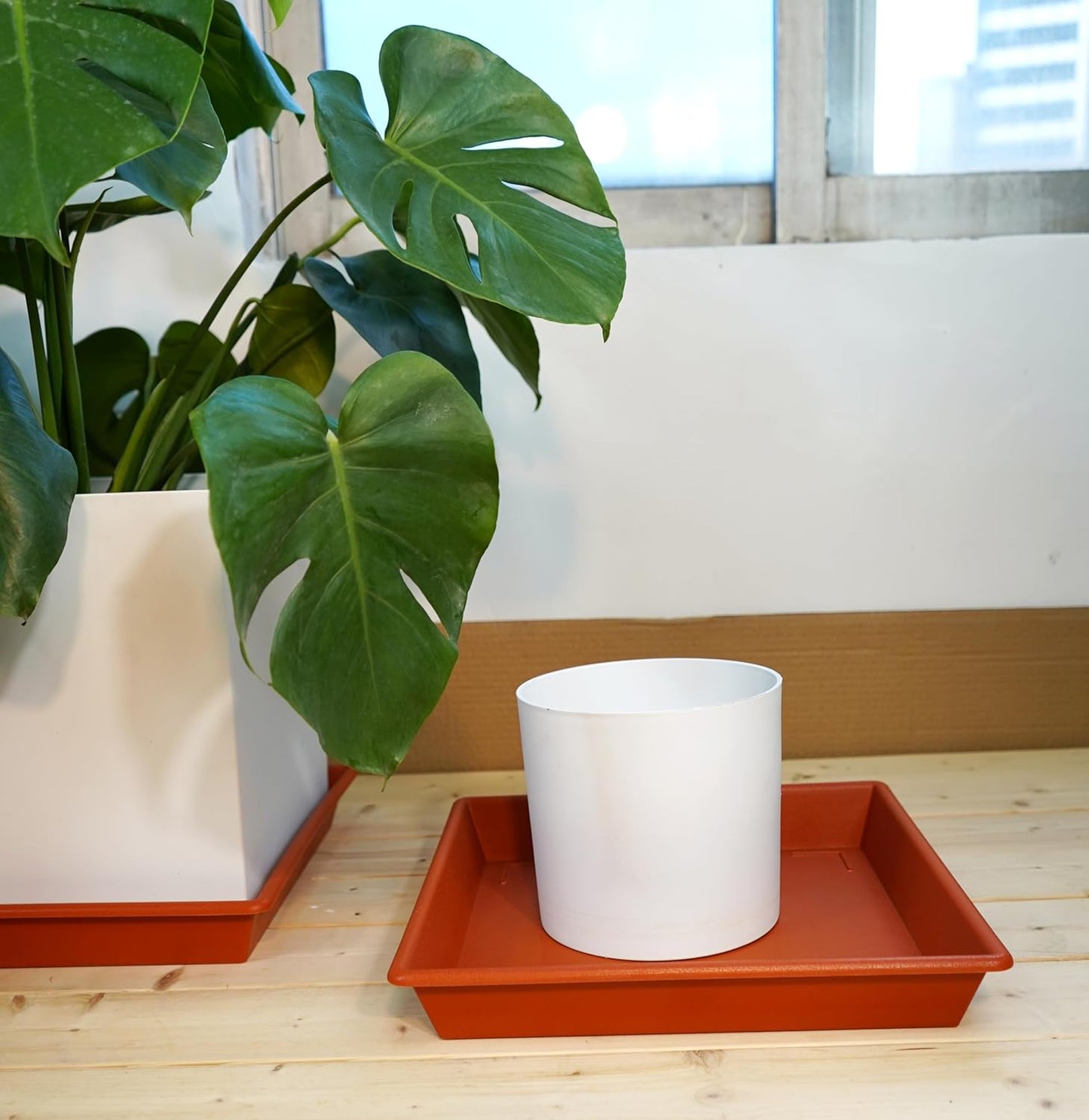 Square Plant Saucer 6 Inch 5 Pack6 8 12 14 16 18 20 Flower Pot No Holes Plant Drip Trays, Plant Trays for Pots Heavy Duty Plastic Plant Saucers for Indoors Outdoors