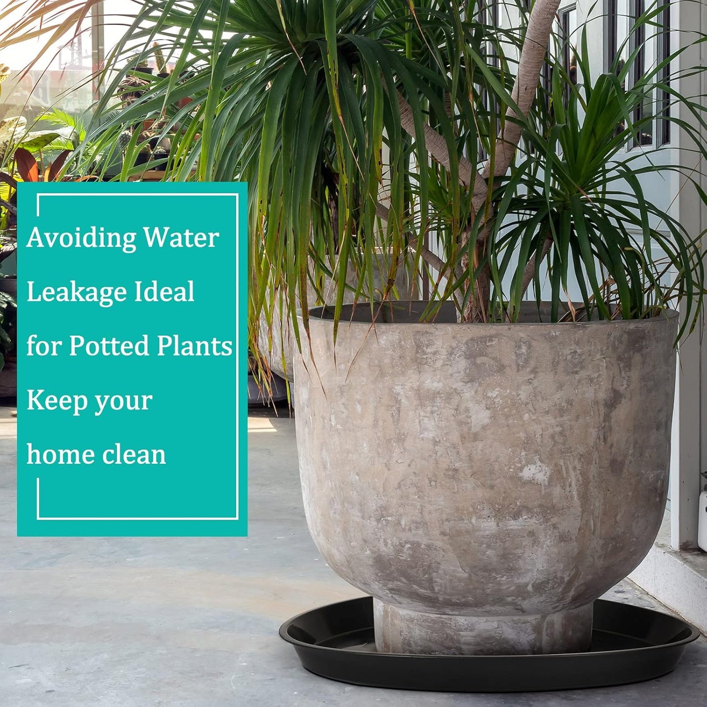 Eccliy 6 Pack Plastic Plant Saucer Heavy Duty Planter Saucers Large Plant Pot Saucers Plastic Water Trays for Indoors and Outdoors Flower Plant Plant Drip (Black,20 Inch)