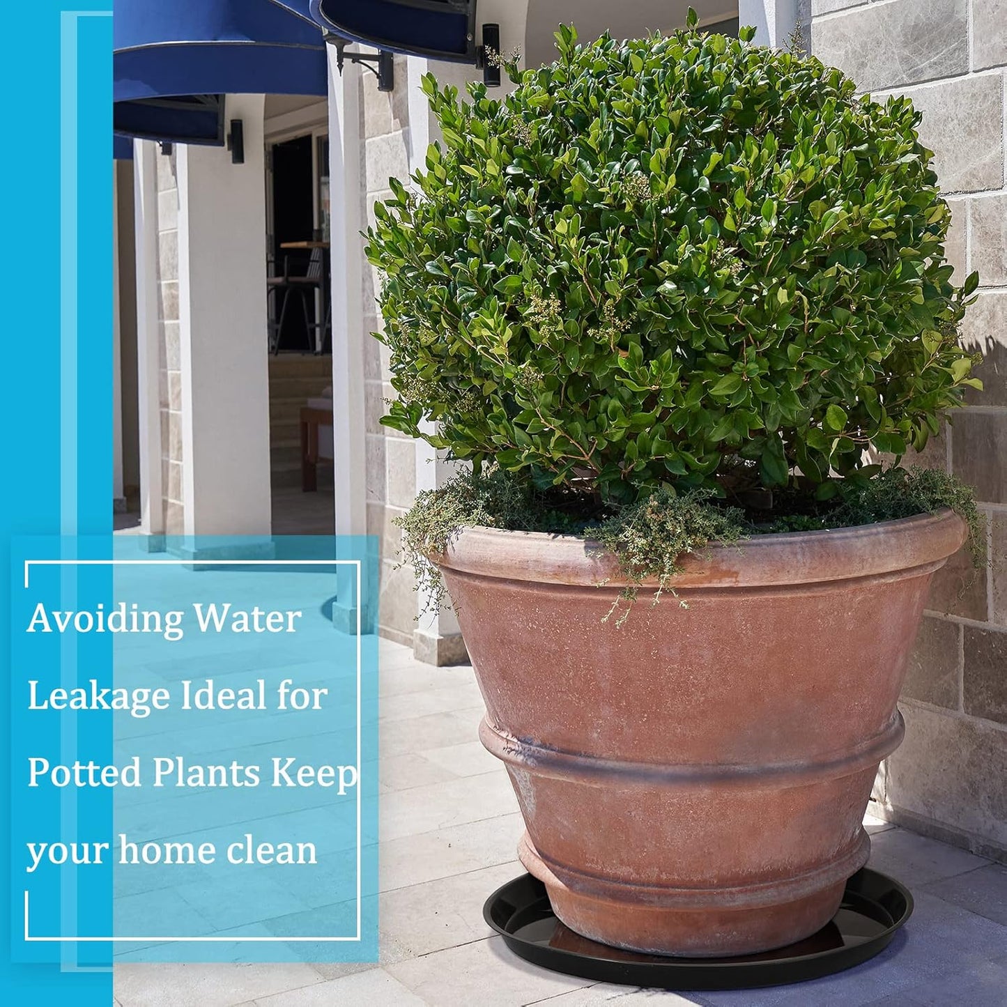 Eccliy 6 Pack Plastic Plant Saucer Heavy Duty Planter Saucers Large Plant Pot Saucers Plastic Water Trays for Indoors and Outdoors Flower Plant Plant Drip (Black,25 Inch)