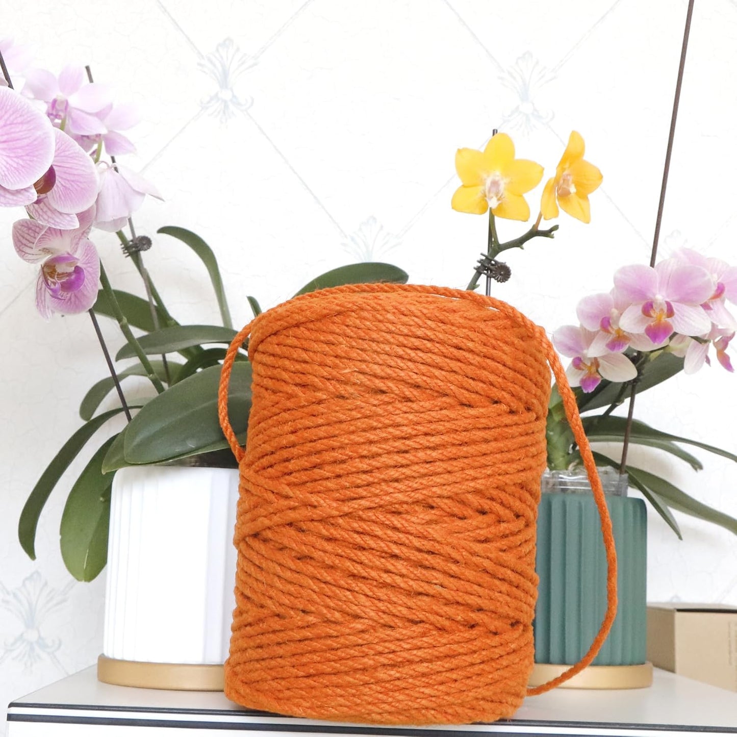 4mm x 200 Feet Orange Jute Rope, Twine for Gardening Tomato Climbing Plant Tie Floristry Crafts Gift Wrapping Packing Decor