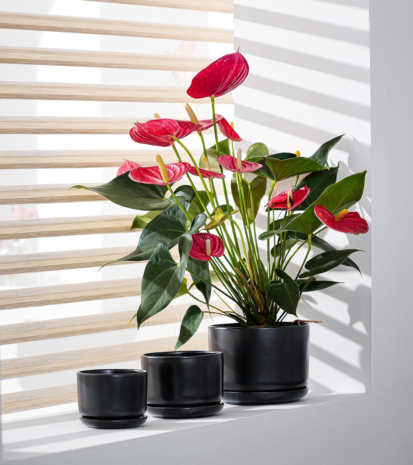 Ton Sin Plant Pots, 4.1+5.1+6.5 inch, Set of 3, Ceramic Planters with Drainage Hole and Saucer, Indoor Flower Pot with Hole Mesh Pad, Gifts for Mom(Matte Black)