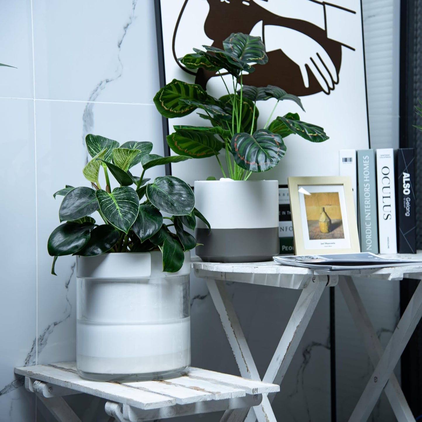 Phoenix Vine 8 Inch Self Watering Planter, White Terracotta Clay Pot with Glass Reservoir for Indoor Plants, Herbs, Flowers, Set of 1, 52-B-H-1