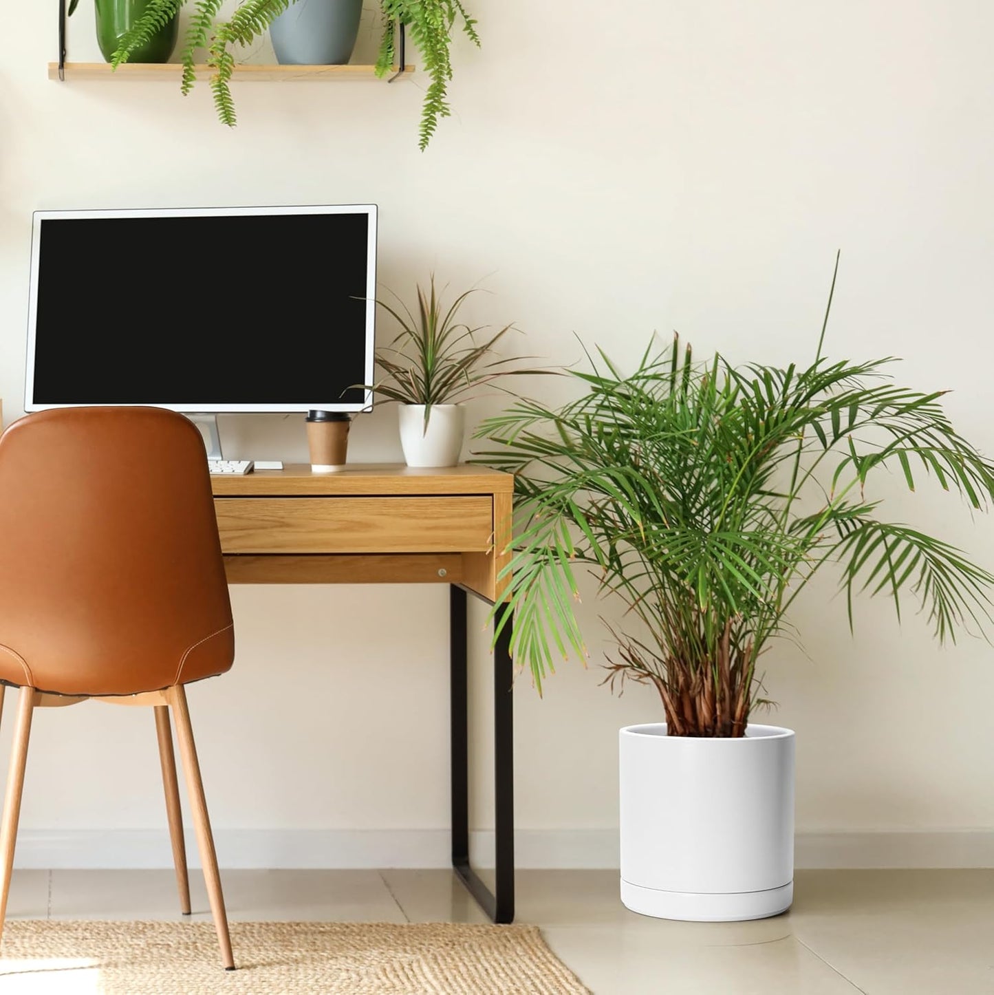 D'vine Dev 10 Inch Ceramic Planter Pot with Drainage Hole and Saucer, Indoor Cylinder Round Planter Pot, White, 94-O-E-1