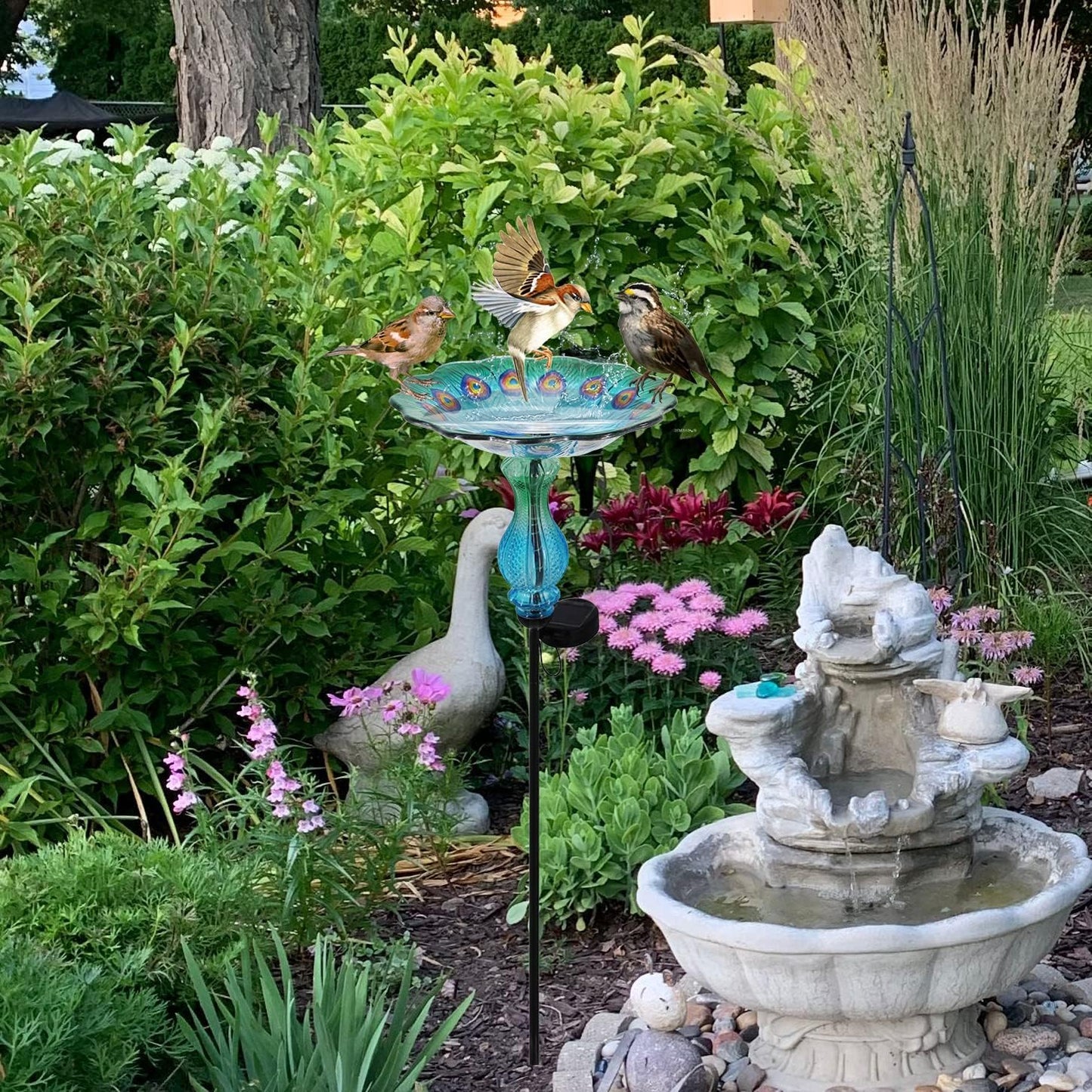 John's Studio Peacock Bird Bath for Outdoor - Glass Bowl Solar Light Cage Outside Dish Bird Feeder with Metal Stake for Garden, Yard and Patio - 32 inches