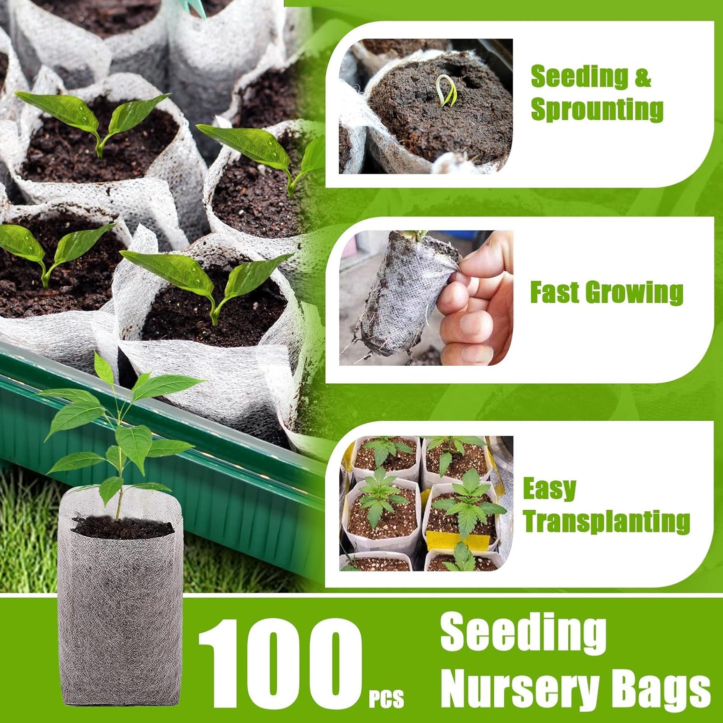 Seed Starter Tray with Grow Light, 2 Pack 80 Cells Smart Timer Seedling Starter Kit with Humidtiy Dome, Plant Seed Germination Kit Planting Seeds