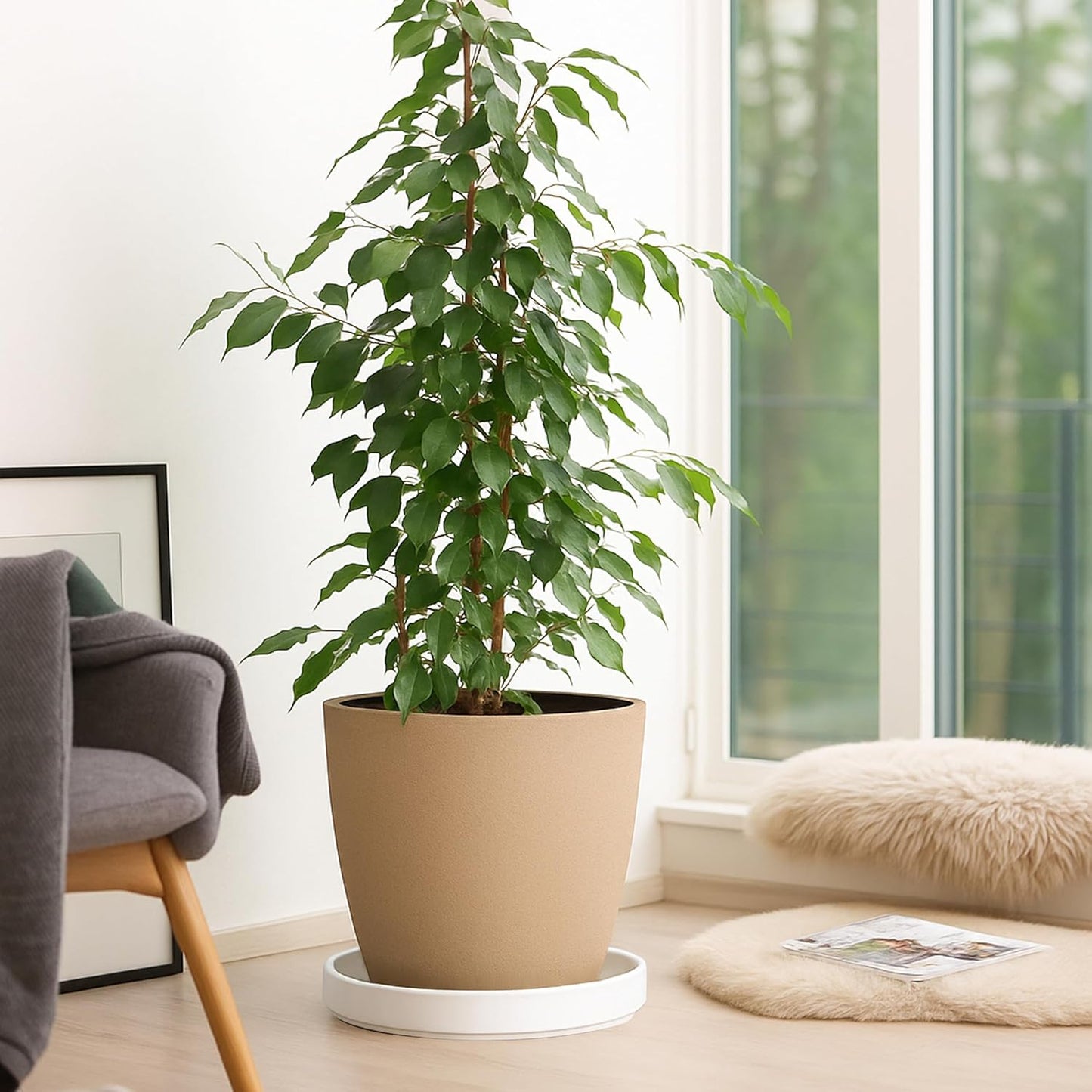 D'vine Dev Modern Round 8.7 Inch Ceramic Plant Pot Saucer, Planter Pot Drainage Tray for Indoor Plants, Matte White, 97-T-A-4