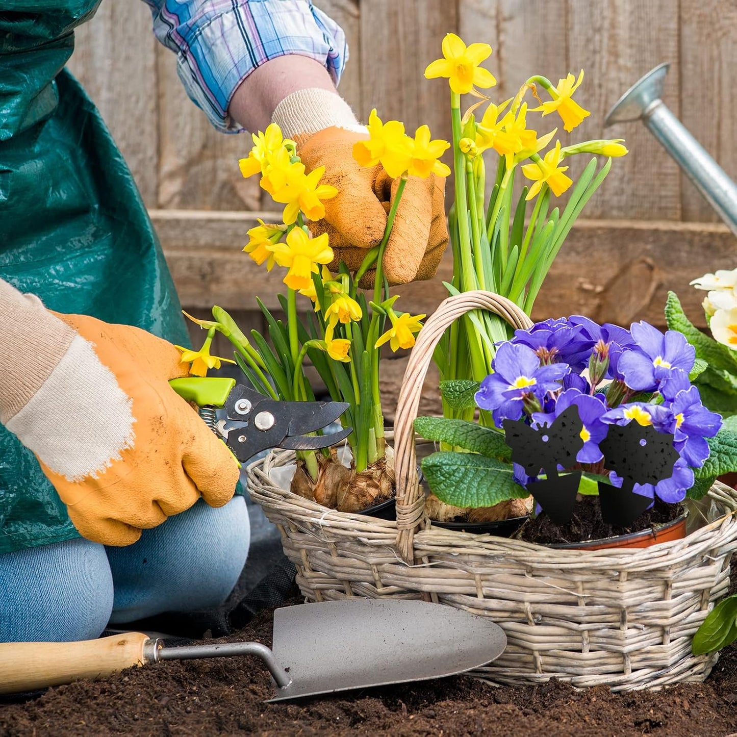 USKICH Sticky Traps Gnat Killer Fruit Fly Traps Non-Toxic and Odorless Fungus Gnat Traps Insect Traps Black Sticky Trap for Indoor and Outdoor Plants(96Pcs Black)