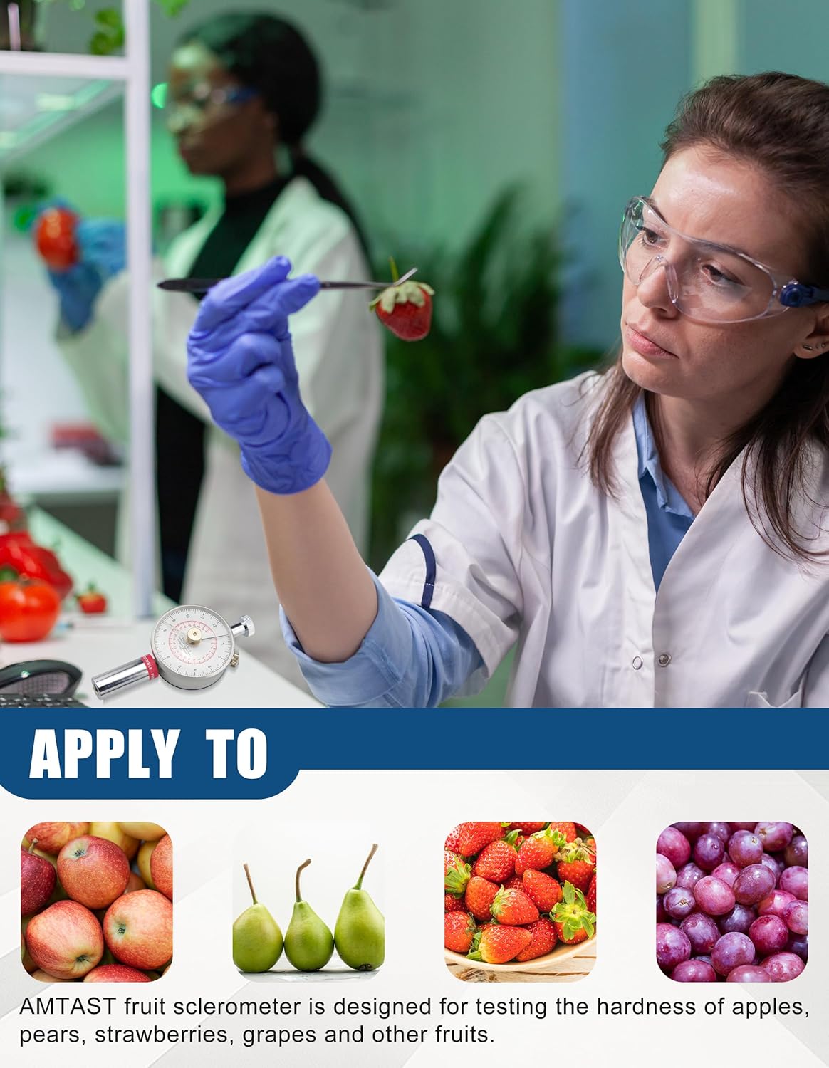 GY-3 Handheld Fruits Sclerometer, Apple Pear Strawberry Hardness Tester Meter, Portable Sclerometer for Fruits