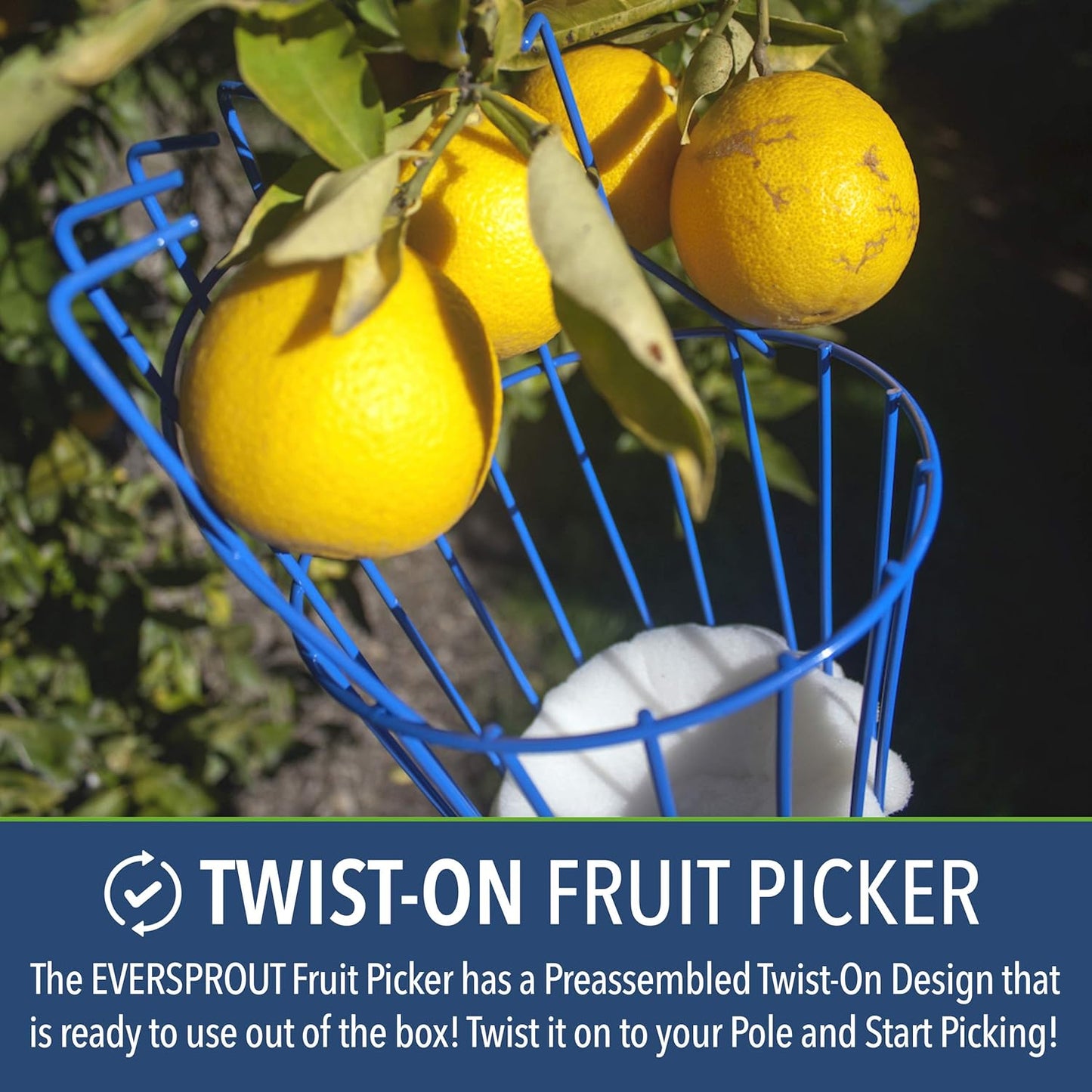 EVERSPROUT Twist-On Fruit Picker Basket, Twists onto Standard US Threaded Pole (3/4-inch ACME), Fruit Picker Head Basket, Fruit Harvesting Tool, Apple, Mango Picker etc. (Head Only, Pole Not Included)