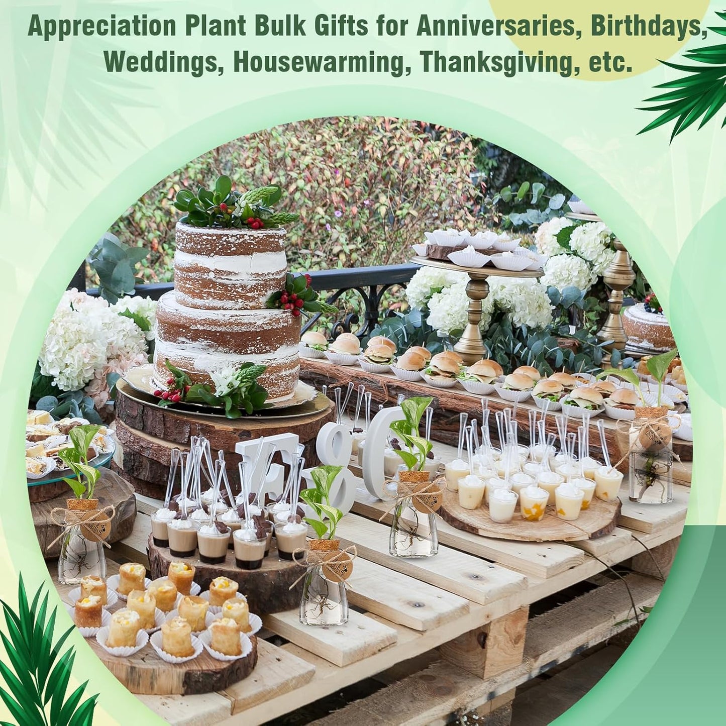 Baderke 3.35'' Plastic Plant Propagation Stations with Hole Lid Planter Vase Clear Propagation Jars with Thank You Tags for Plant Lover Gifts for Women Office Home Garden (48 Pack,Cute)