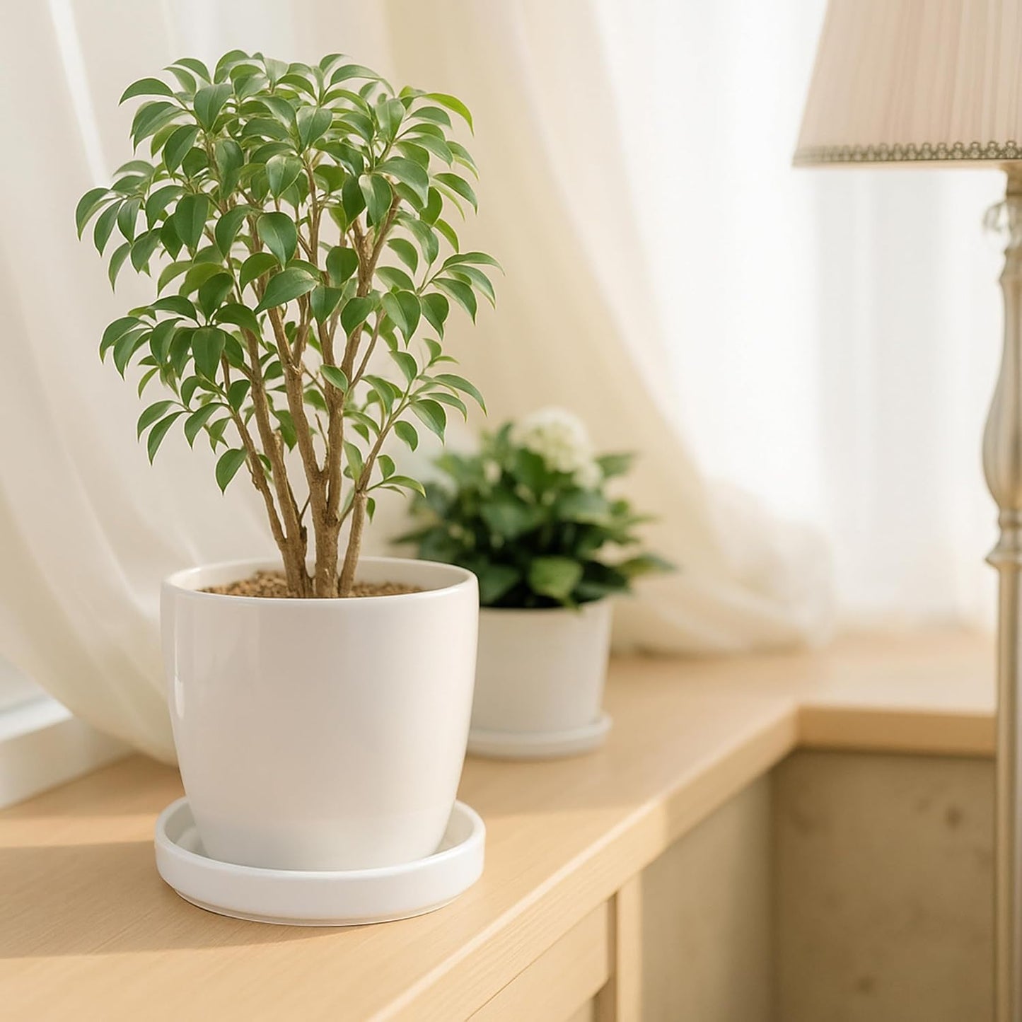 D'vine Dev Modern Round 5.4 Inch Ceramic Plant Pot Saucer, Planter Pot Drainage Tray for Indoor Plants, Set of 2, Matte White, 97-T-A-22