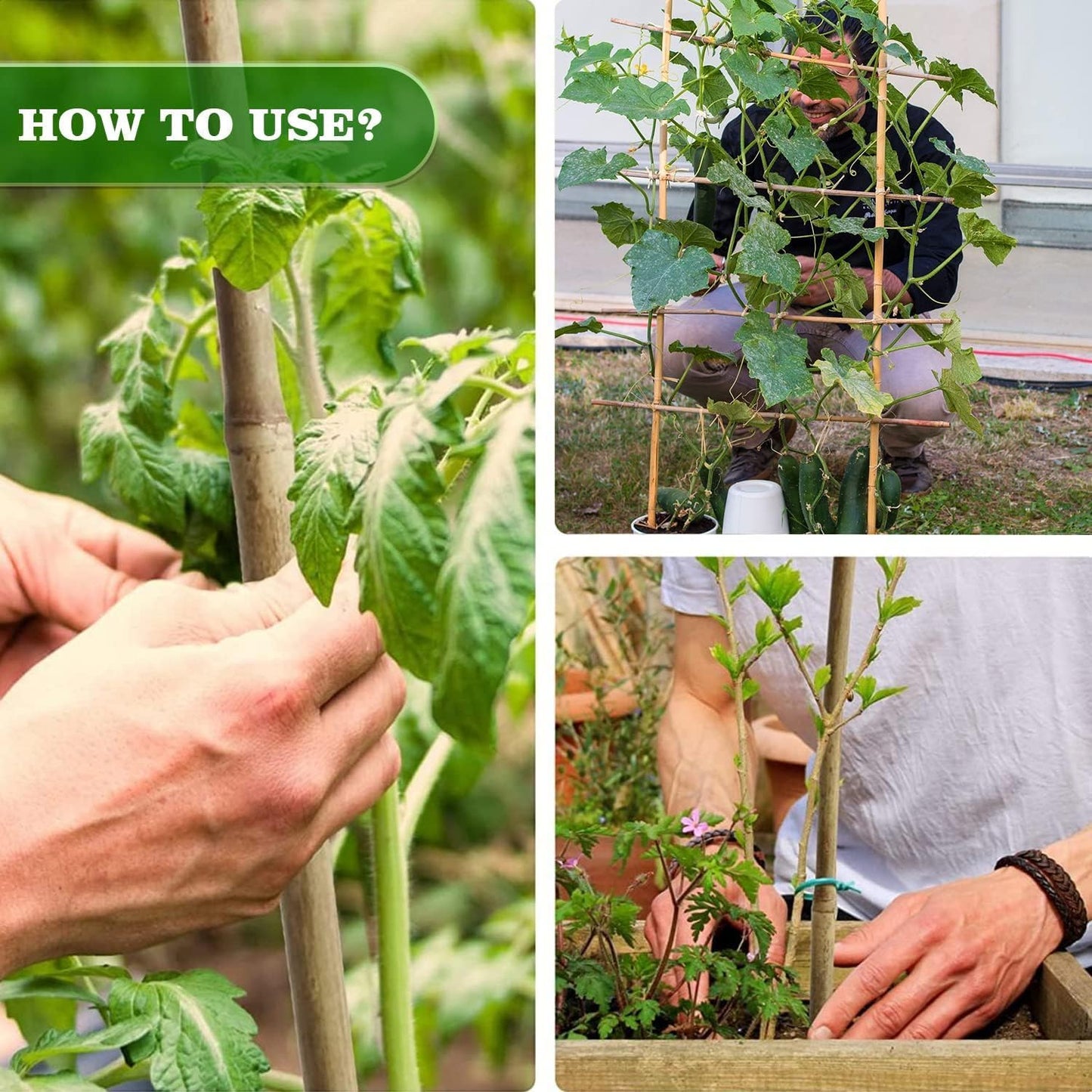 30pcs 3/10" D Thicker Heavy Duty Bamboo Stakes, 2FT Plant Stakes, Natural Garden Stakes for Tomato, Bean, Flowers,Trees Potted and Climbing Plant Support